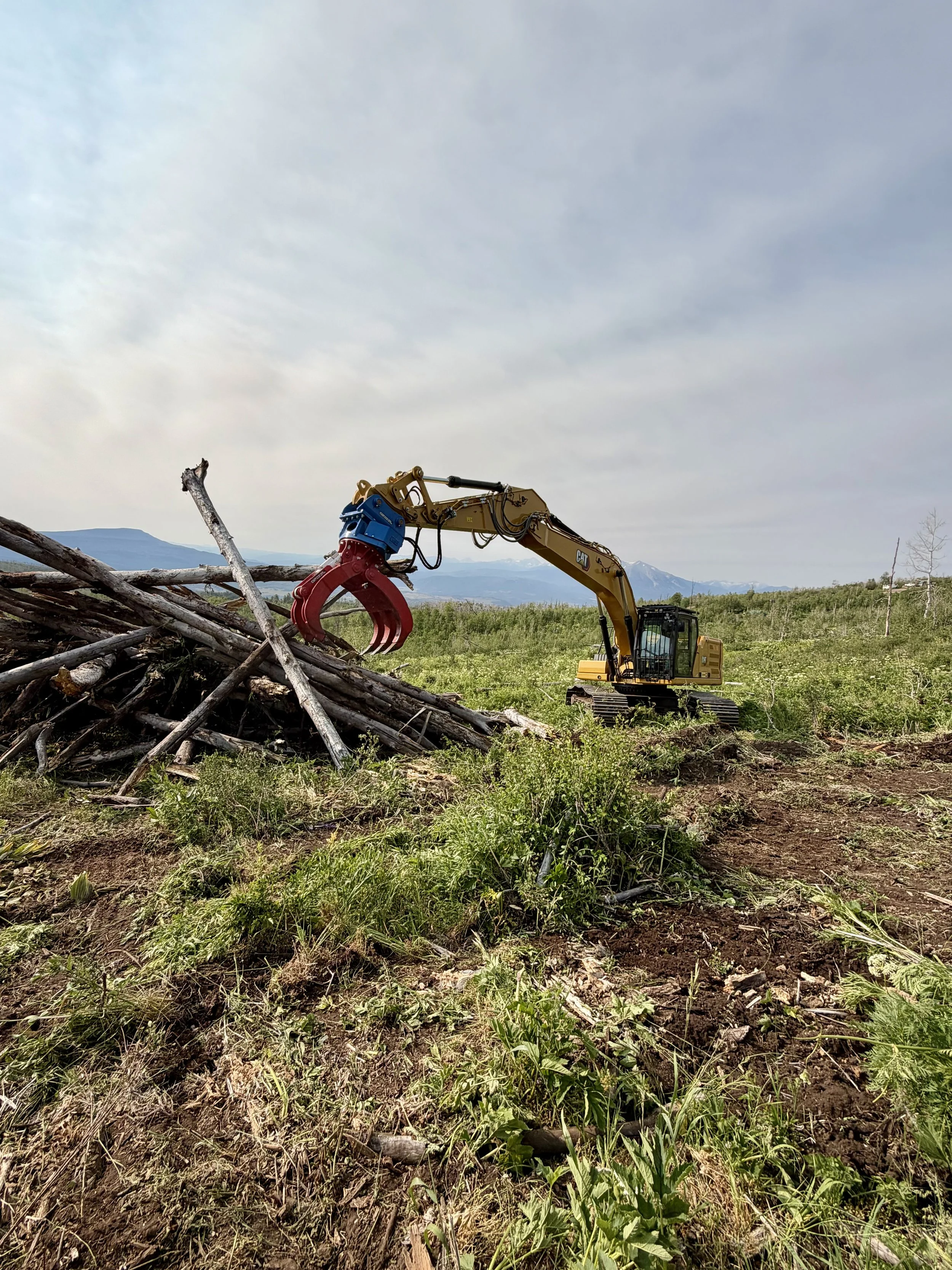 An excavator with a claw is clearing fallen trees and debris in a grassy field, with mountains and a cloudy sky in the background.  Forest-fire fuels mitigation.