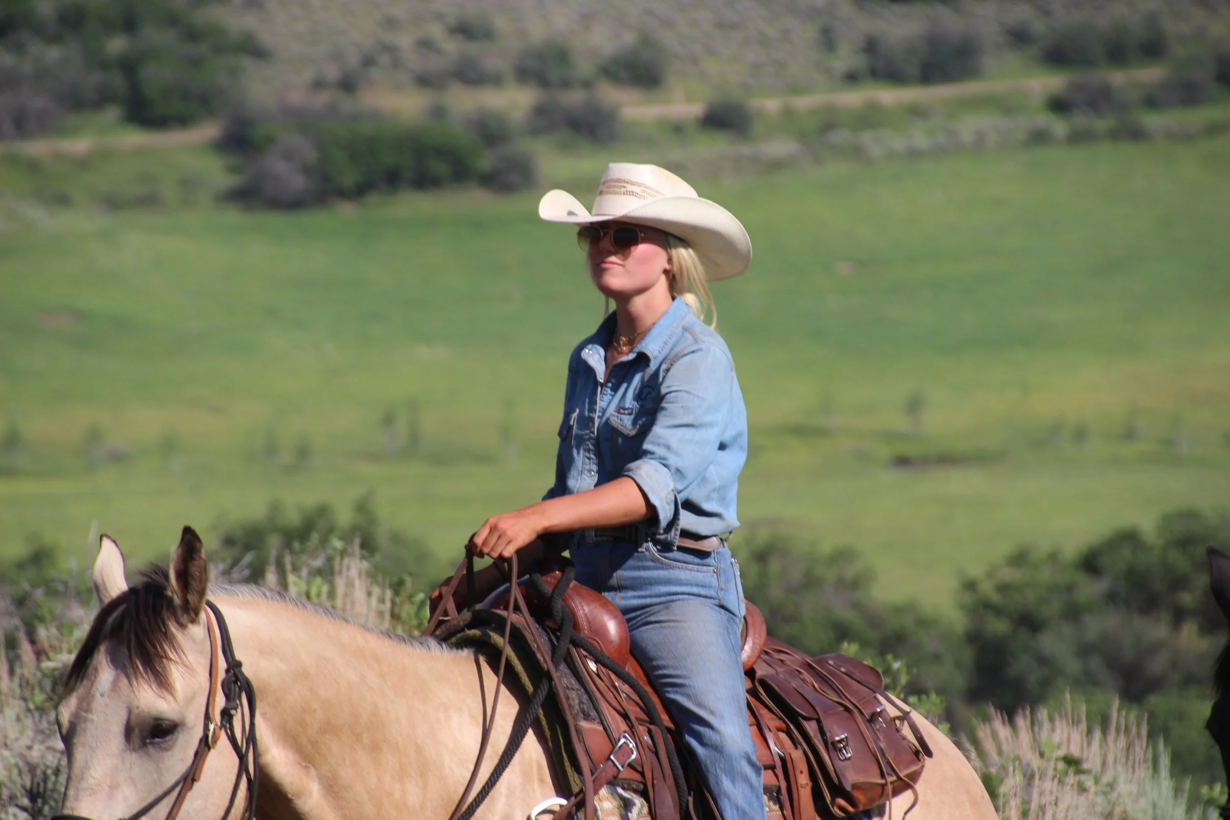 A woman wearing a cowboy hat, sunglasses, a denim jacket, and jeans riding a light-colored horse in a green, rural landscape.