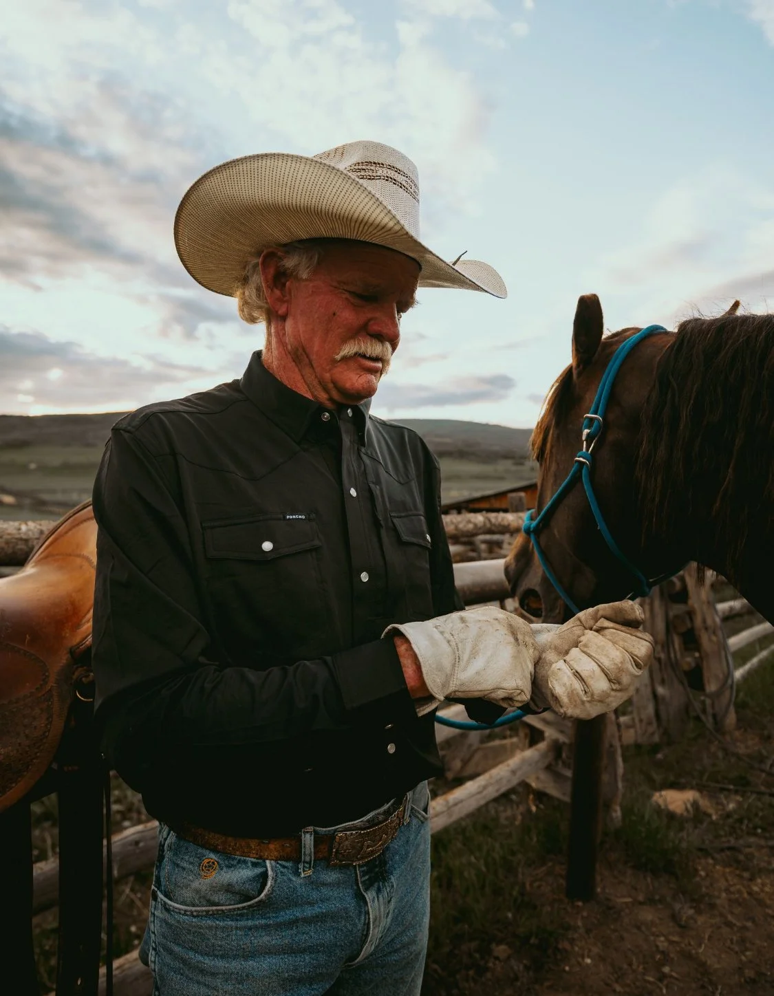 An elderly man with white hair and mustache wearing a cowboy hat, black shirt, and gloves, is standing next to a brown horse with a blue halter. The man appears to be holding or examing a small object near the horse's face outdoors with a rural setti