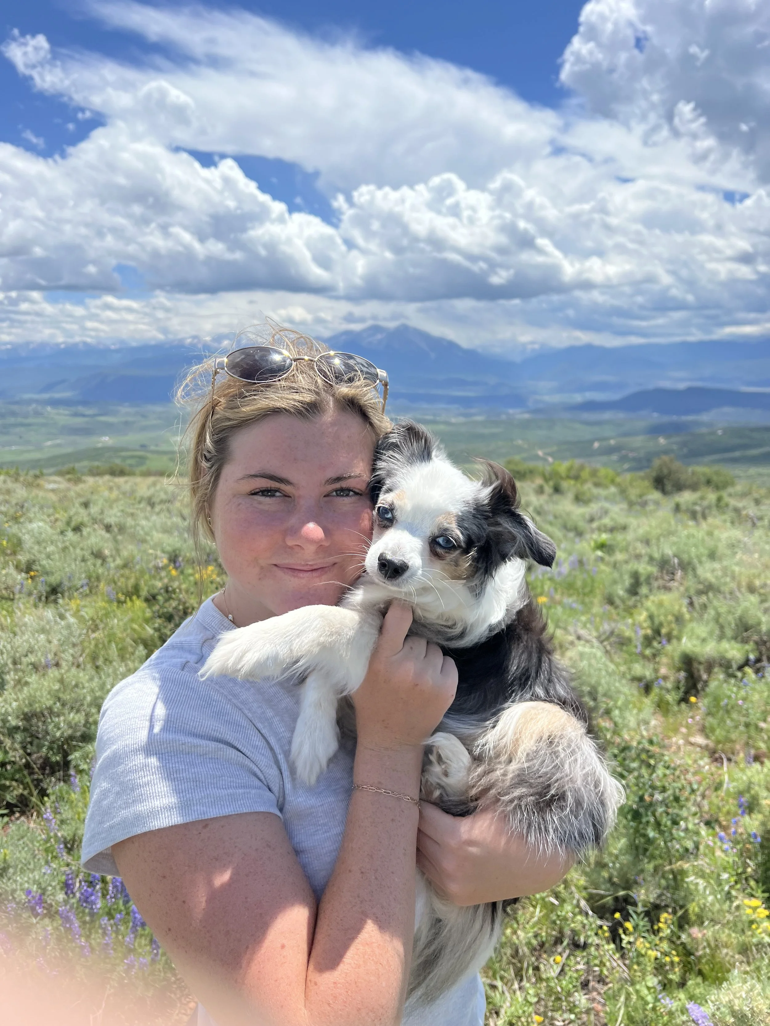 A woman holding a black and white Australian Shepherd puppy in a scenic outdoor setting with mountains and blue sky in the background.
