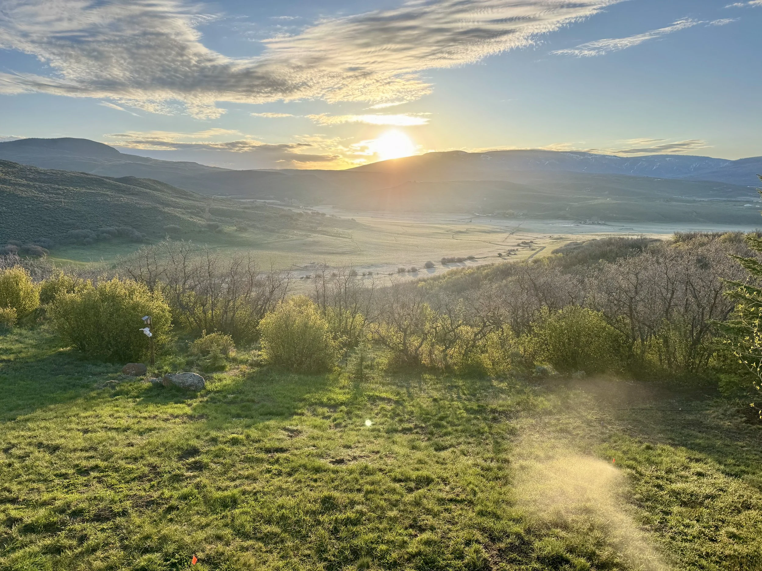 Sunset over a green valley with trees, hills, and mountains in the background.