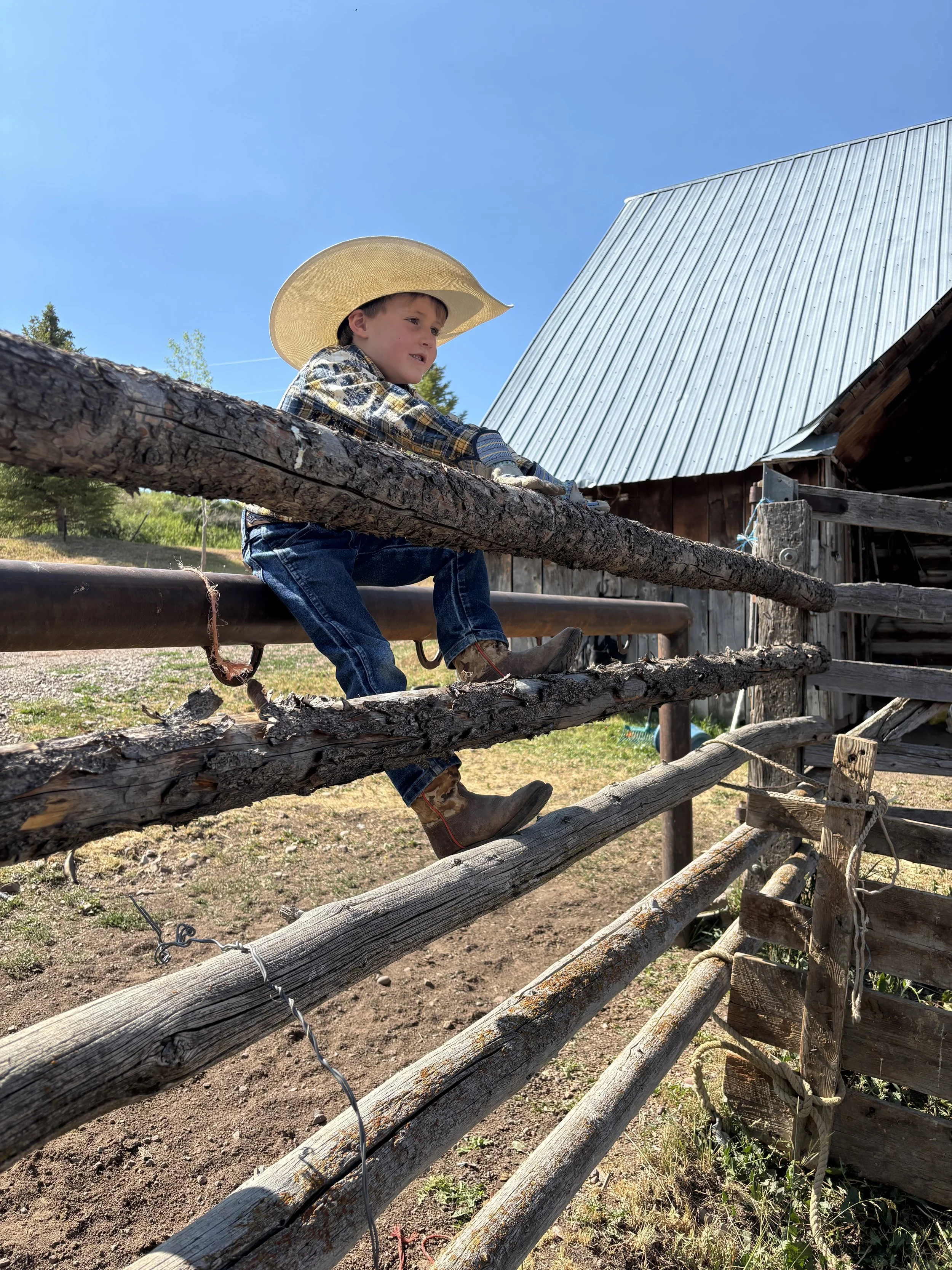 Young boy sitting on a wooden fence wearing a cowboy hat, plaid shirt, jeans, and boots, outdoors near a rustic barn.