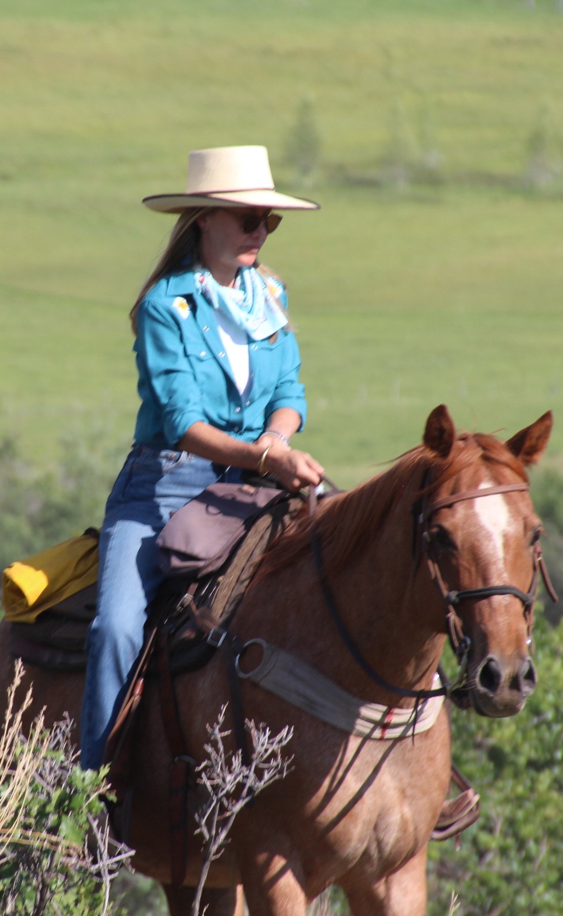 A woman riding a brown horse in a grassy outdoor setting.