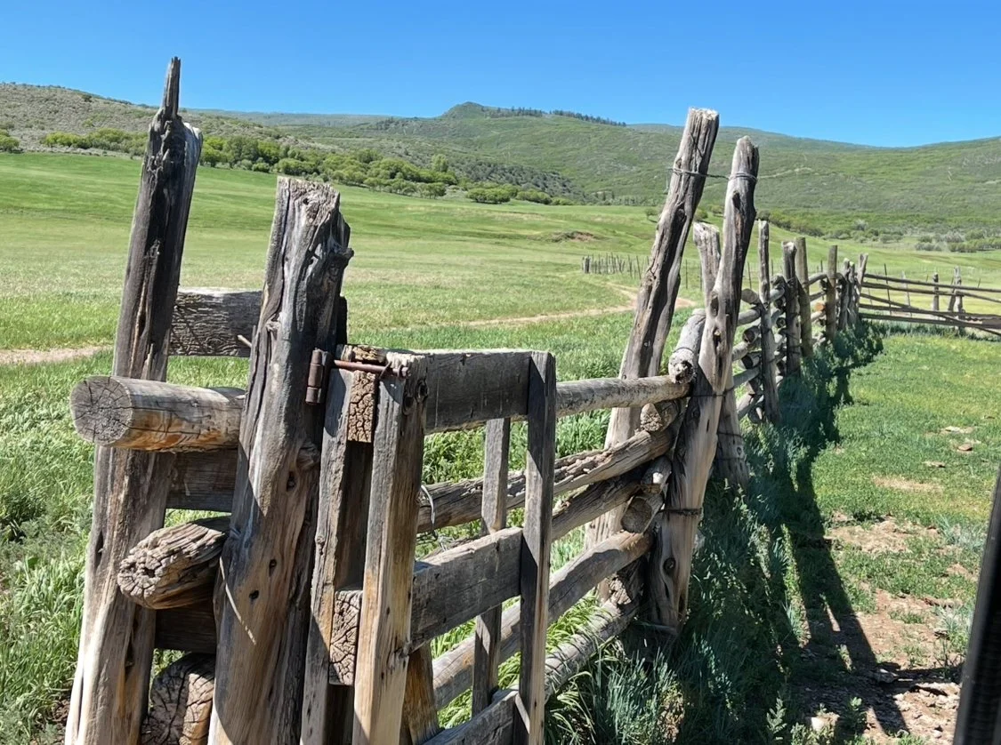 A rustic wooden fence made of weathered logs and posts stretches across a grassy field with rolling green hills in the background under a clear blue sky.
