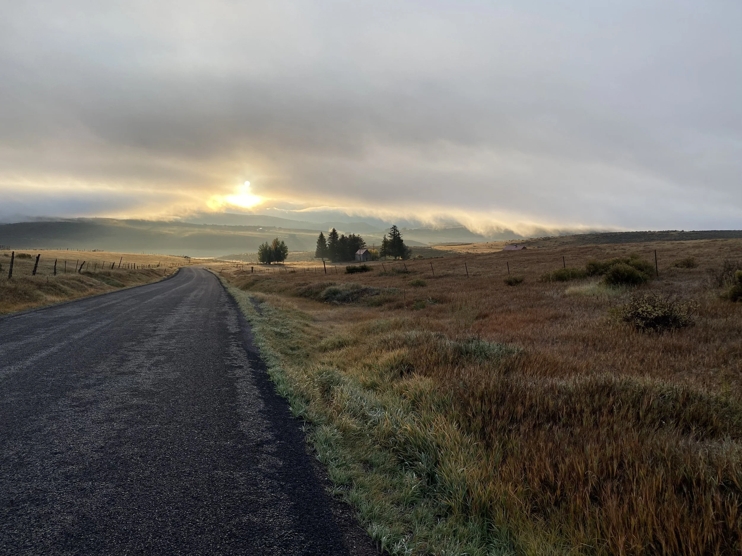 Empty rural road winding through open fields with hills and trees in the distance, under a cloudy sky with a setting or rising sun.
