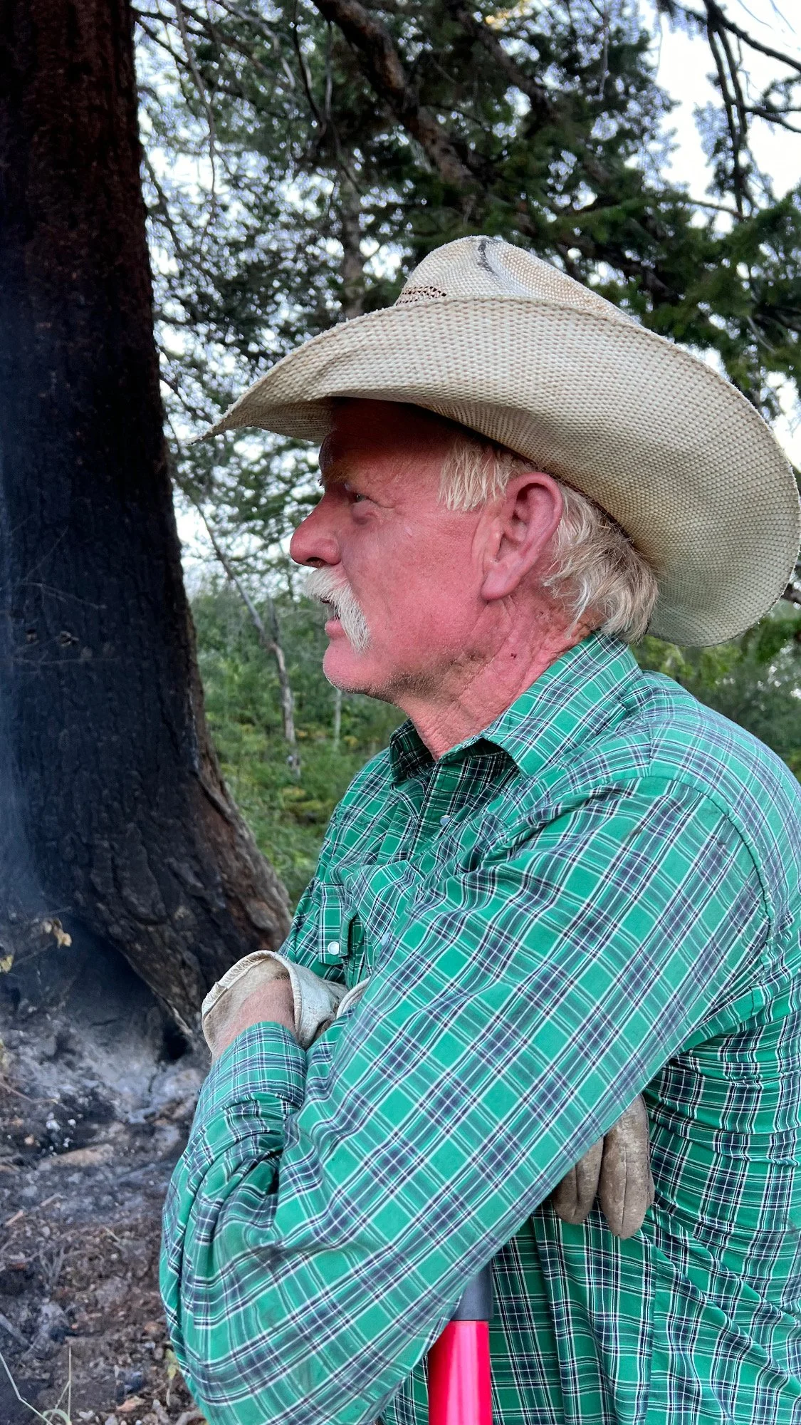 An elderly man with a white mustache wearing a beige cowboy hat and a green plaid shirt, leaning against a tree in a forested area.