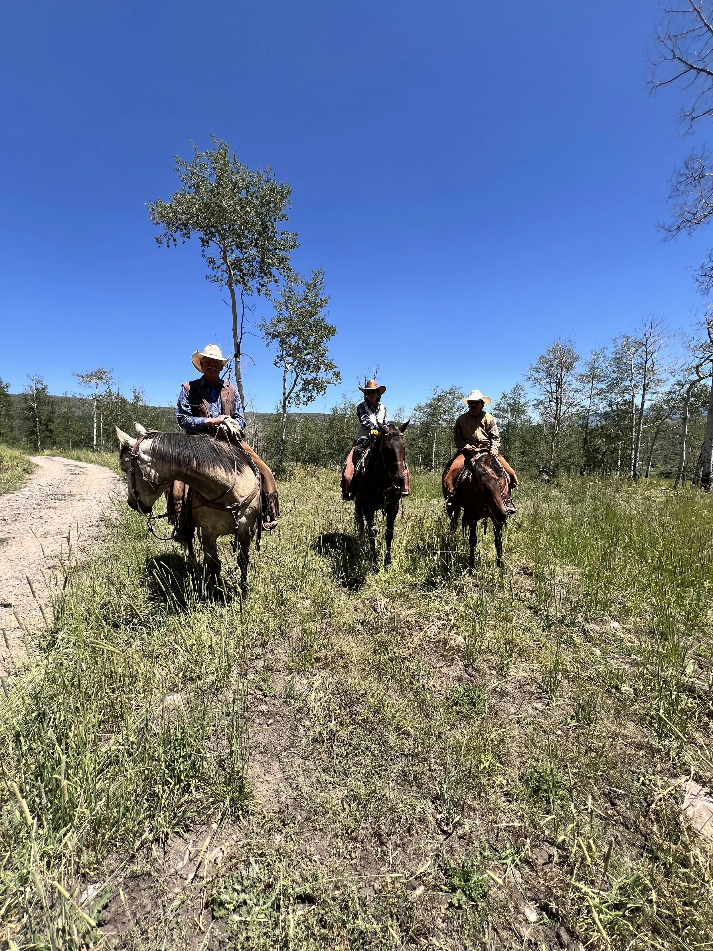 Three people riding horses on a trail through a grassy field, under a clear blue sky with sparse trees in the background.