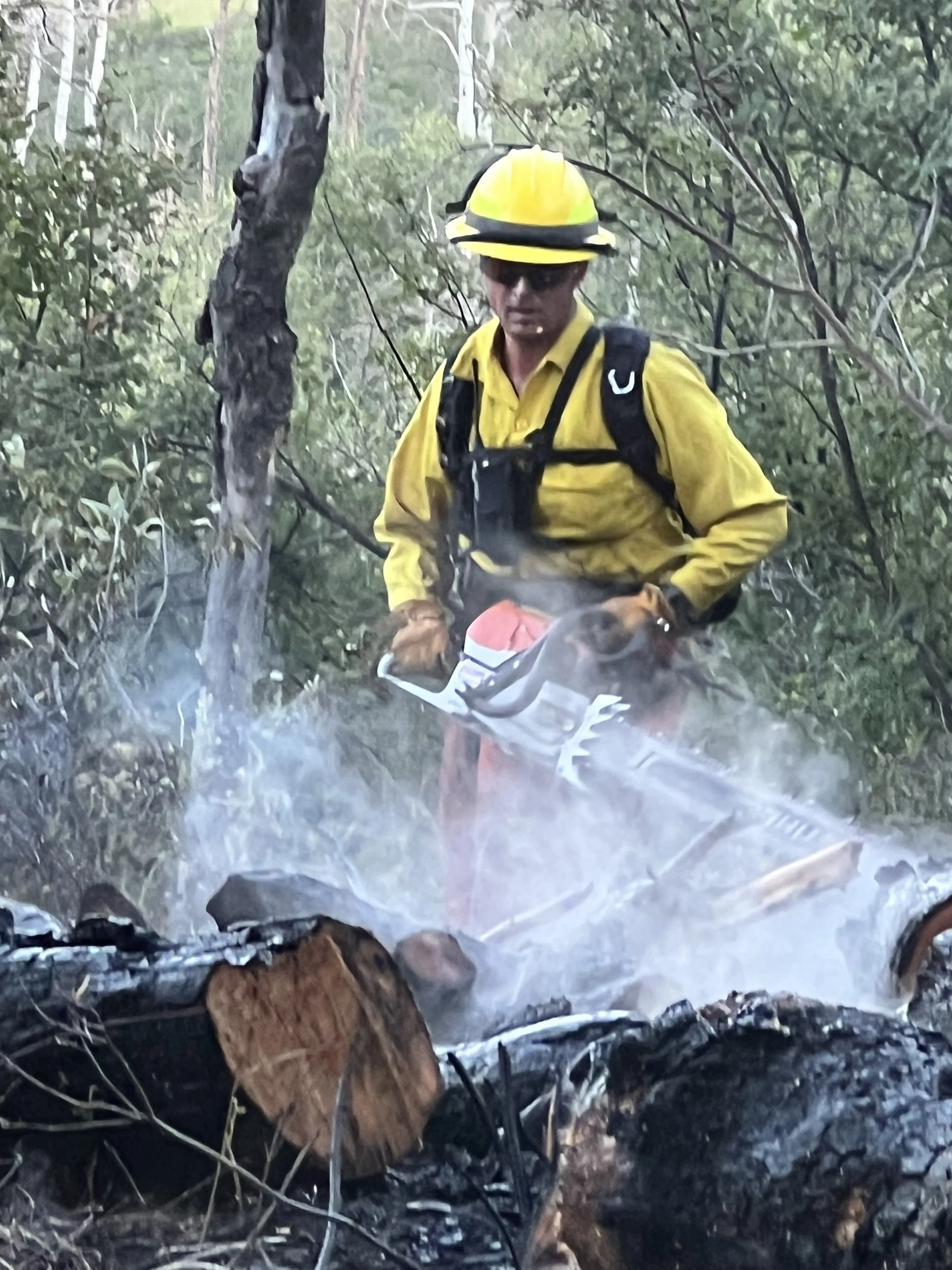 Firefighter in yellow uniform and helmet using chainsaw to cut burning logs in forest