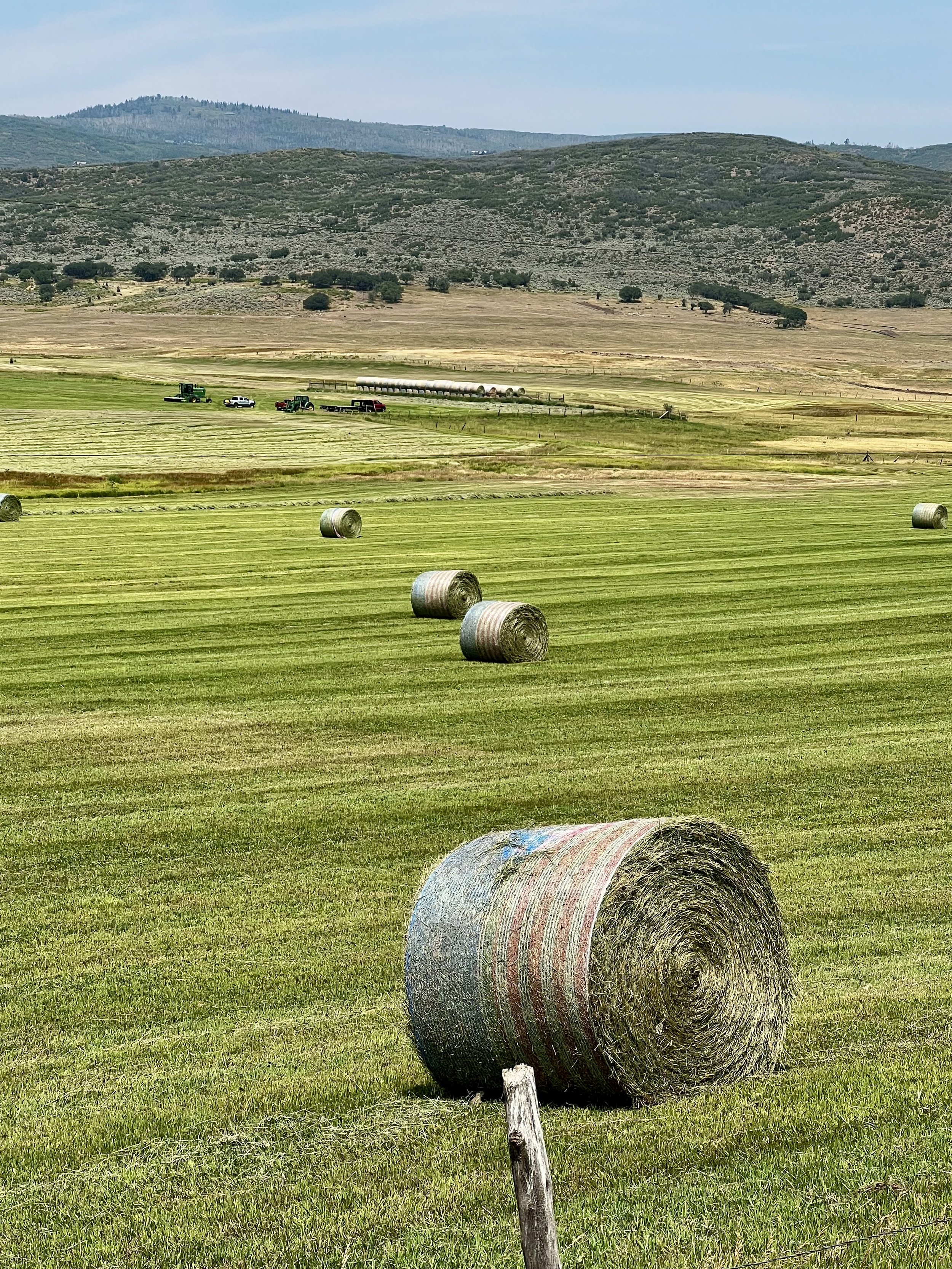 Rolling hills with hay bales scattered across a green field, with tractors and vehicles in the background against a mountainous landscape.