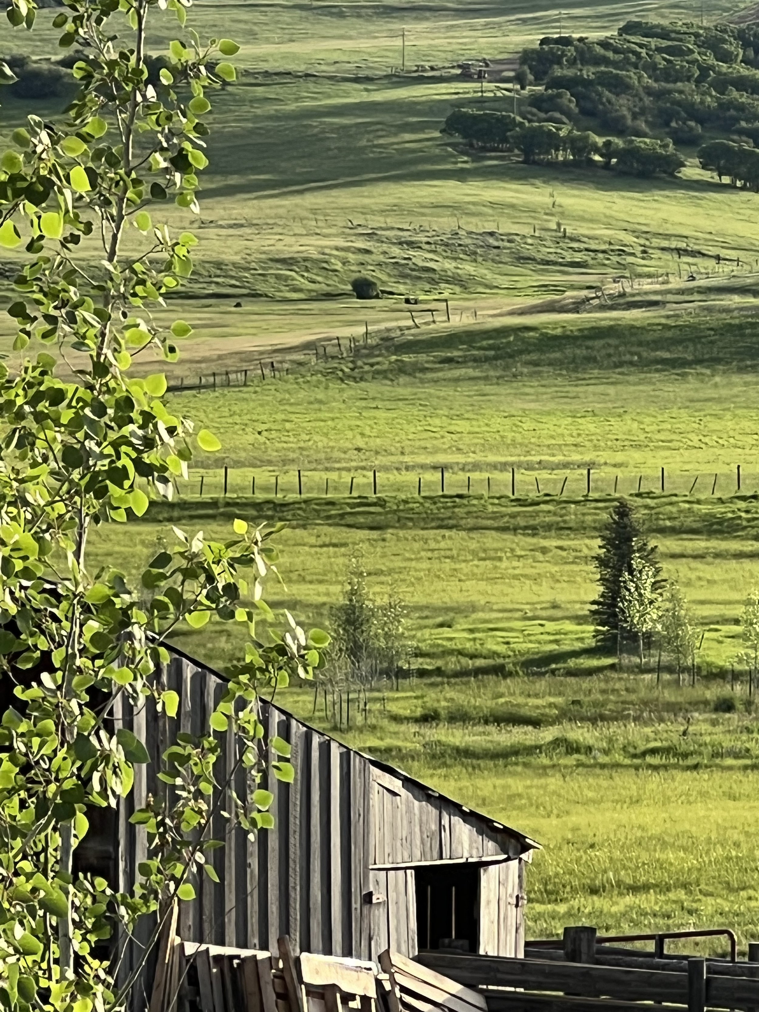 Green rolling hills with scattered trees and wooden fences, a rustic barn in the foreground, and a dirt road winding through the landscape.