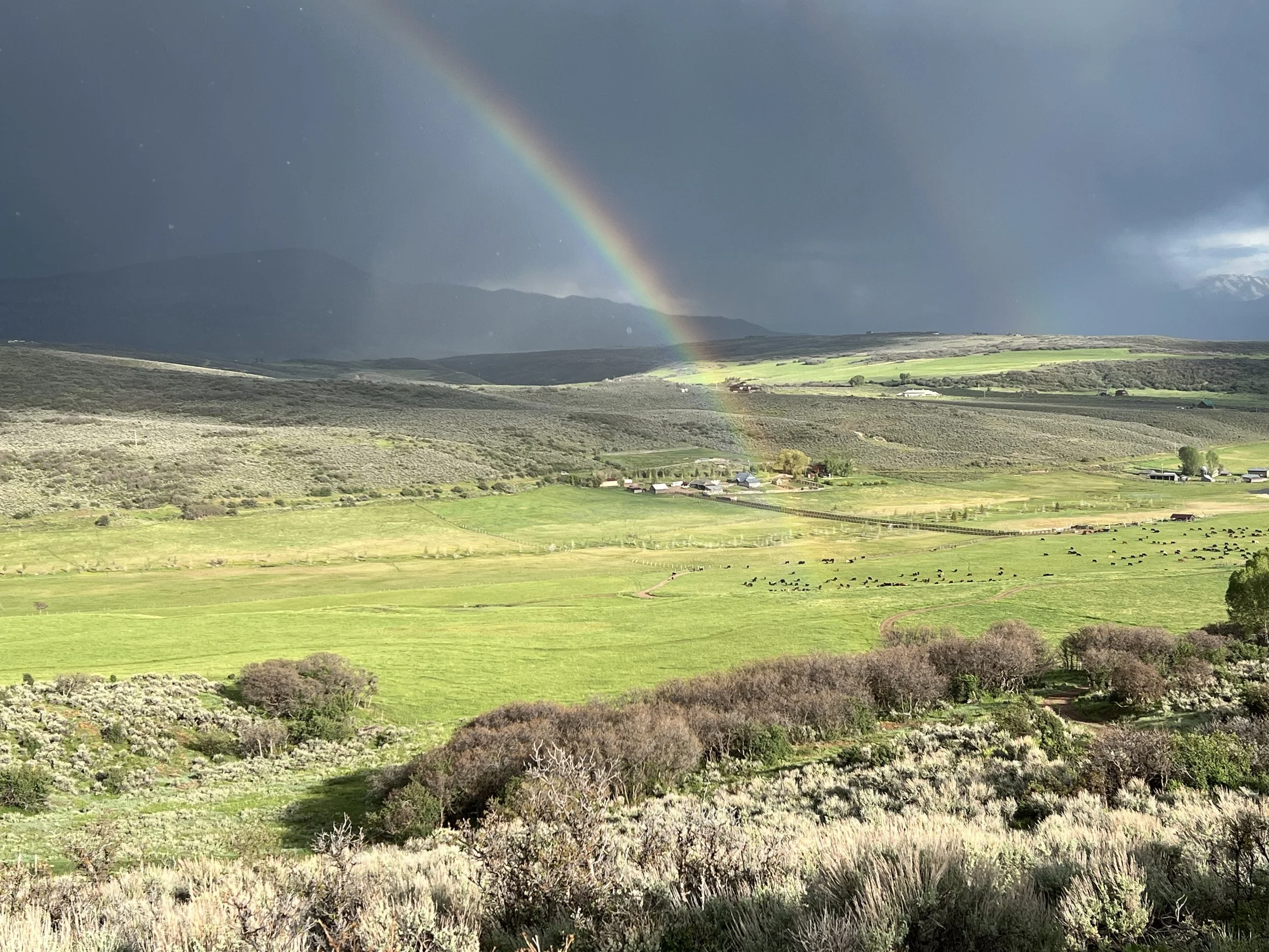 A landscape with green fields, distant farmhouses, and scattered trees under a dark, stormy sky with a rainbow arching across.