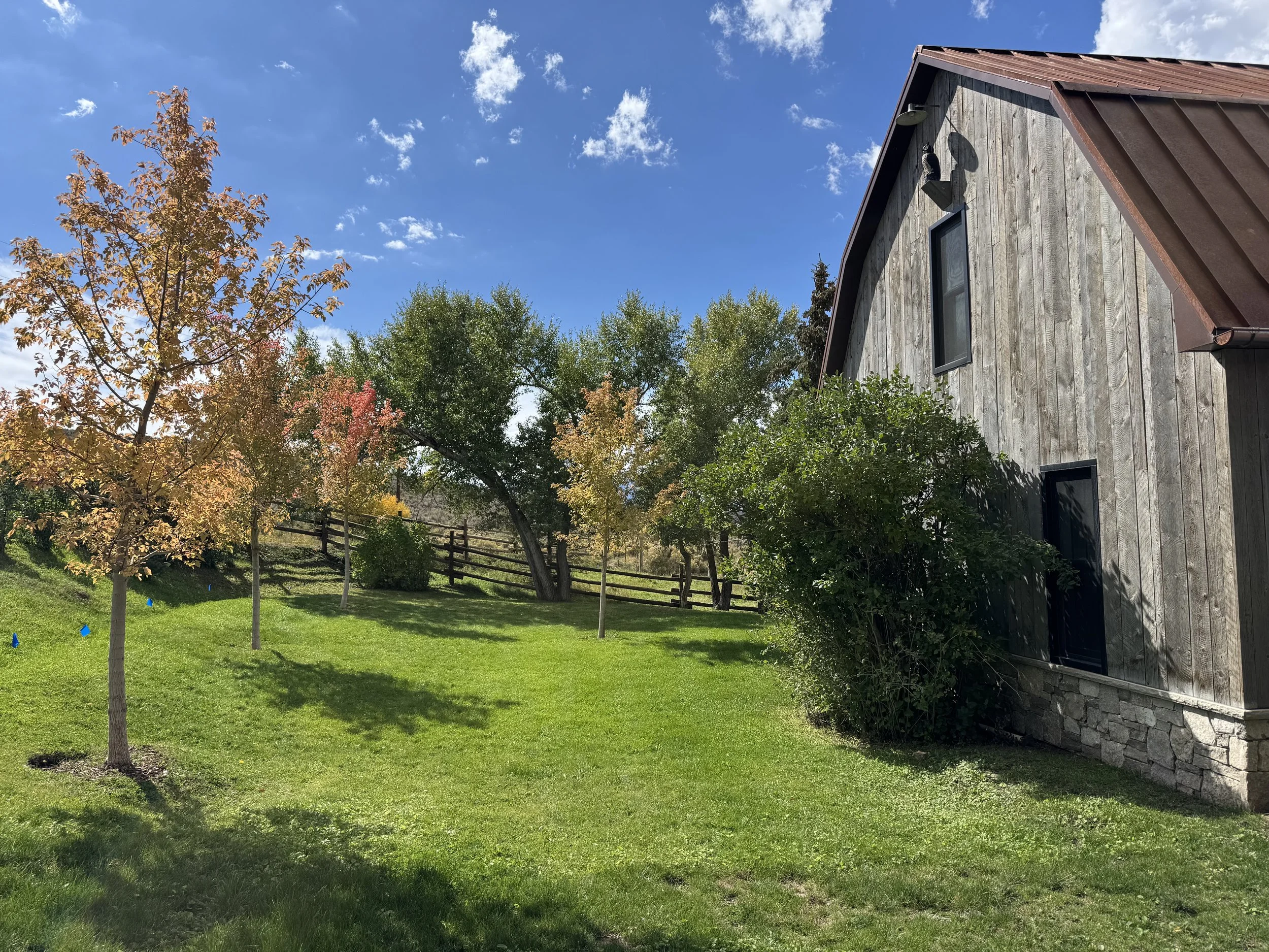 A rural scene with a grassy yard, a rustic wooden building, multiple trees with colorful autumn leaves, a wooden fence, and a bright blue sky with scattered clouds.