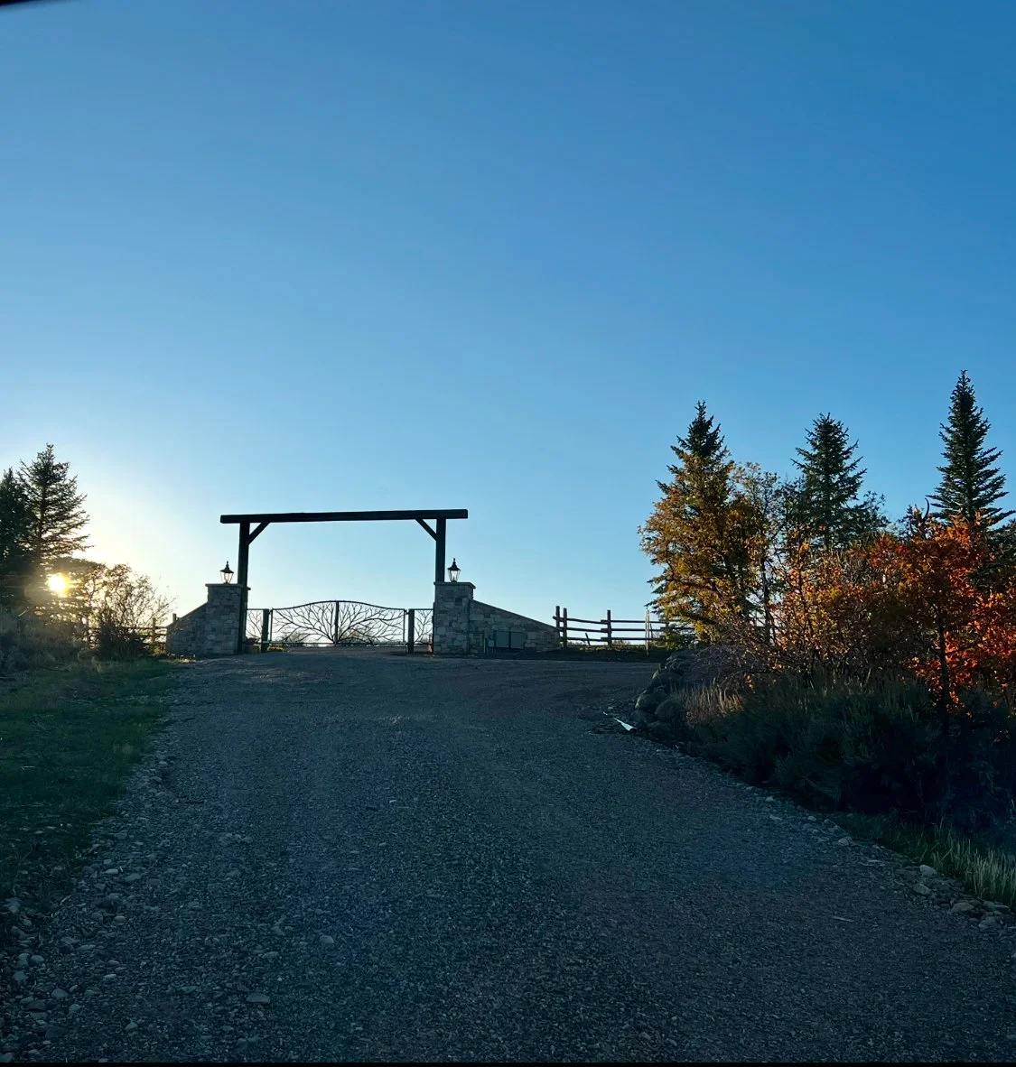A gravel driveway leading up to a stone and wood gate under a wooden archway, with trees on either side and a clear blue sky in the background.