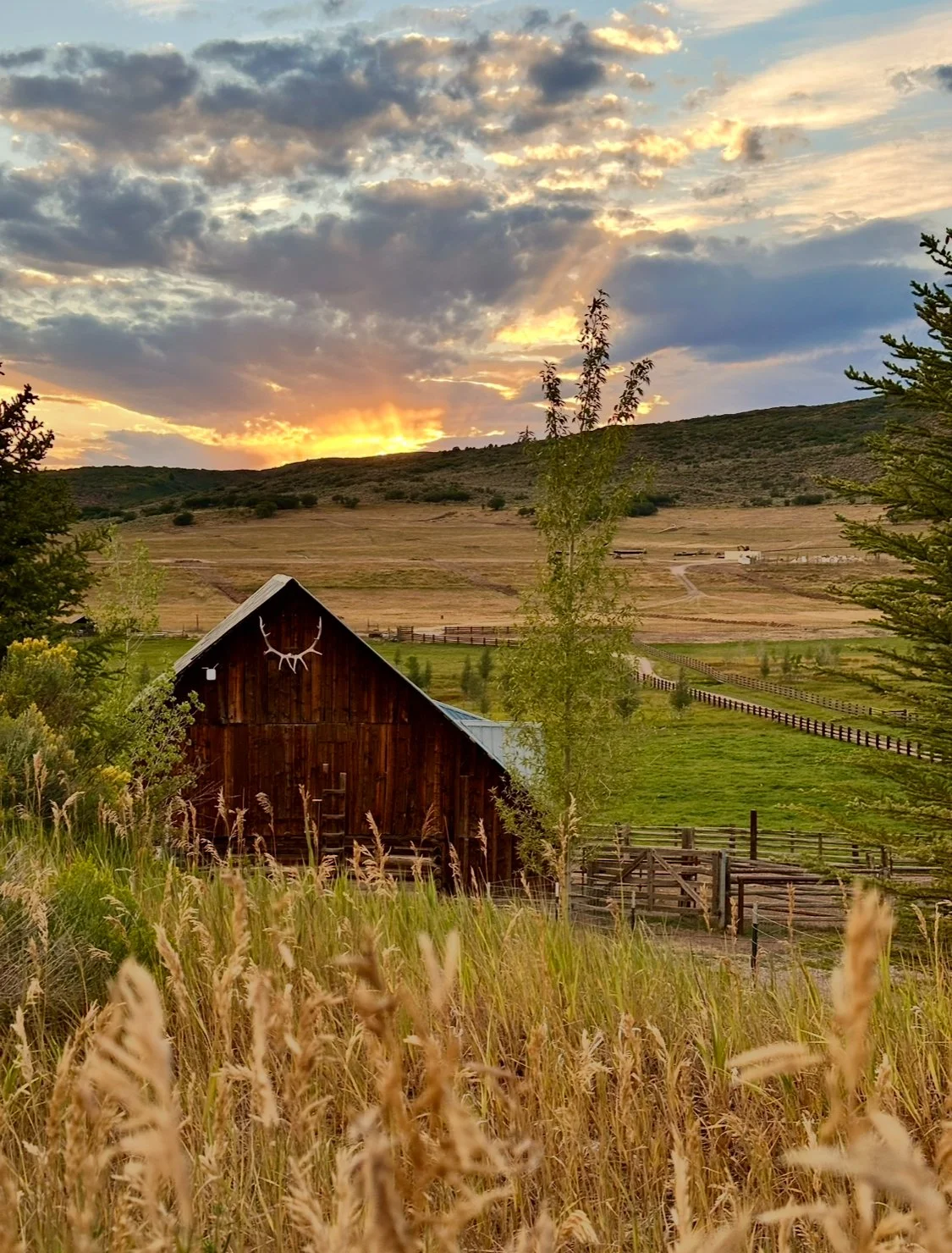 A rustic barn with a deer antler decoration on the front, situated in a grassy field with tall dry grass in the foreground. The background shows a rural landscape with rolling hills, trees, fences, and a partly cloudy sky at sunset.