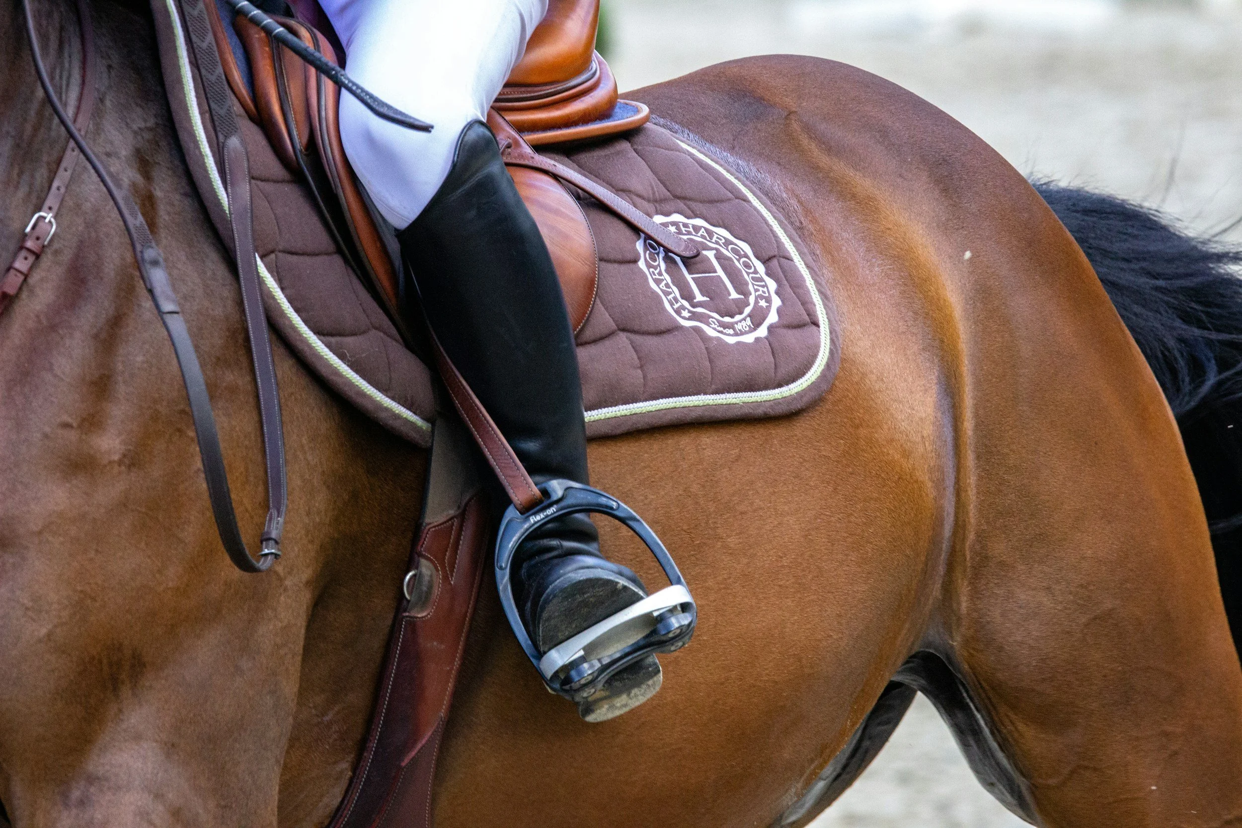 Performance Anxiety in the Saddle: Managing Nerves and Building Confidence as an Equestrian
