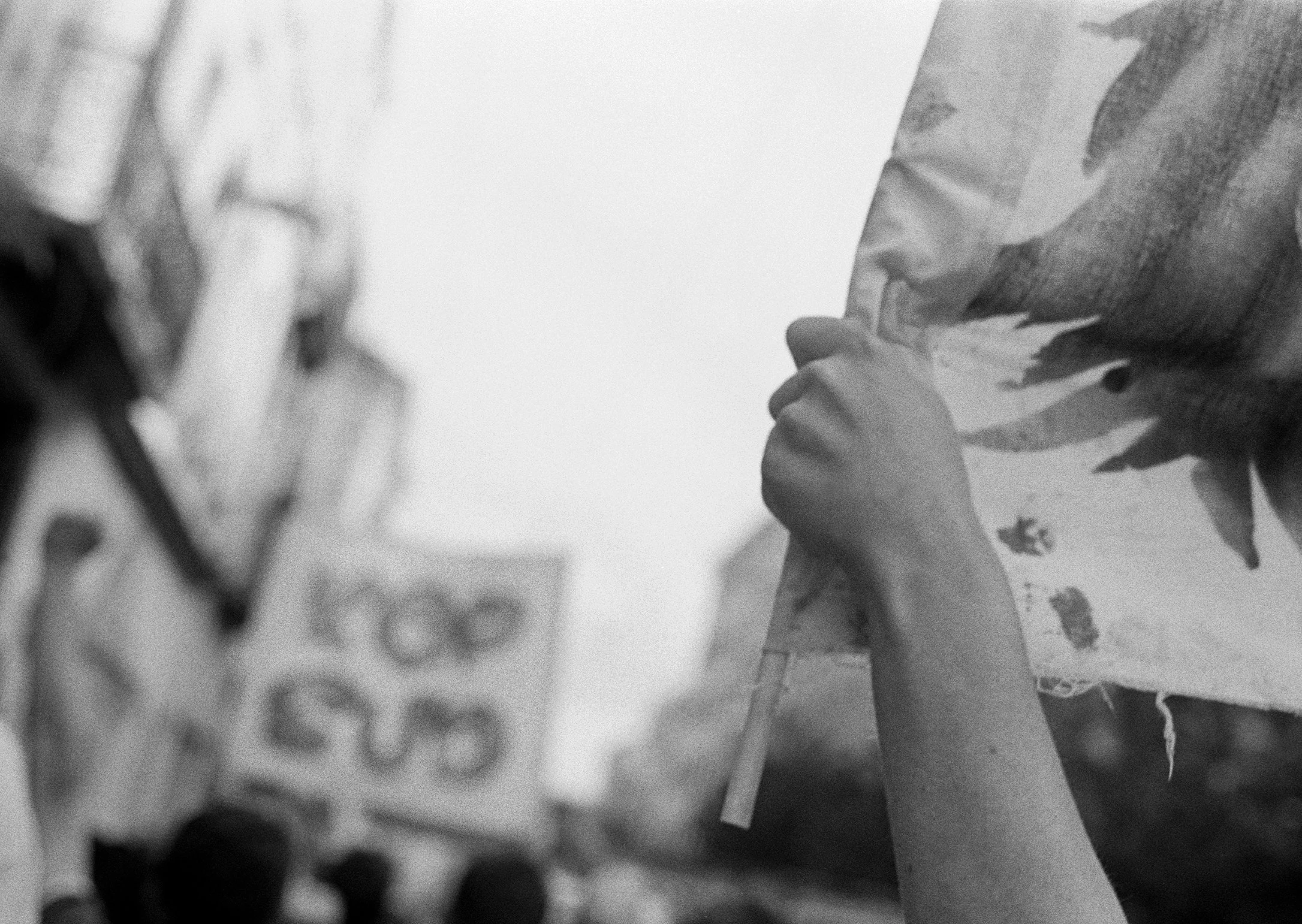 KOP-KAM5_Kop Sud.jpg