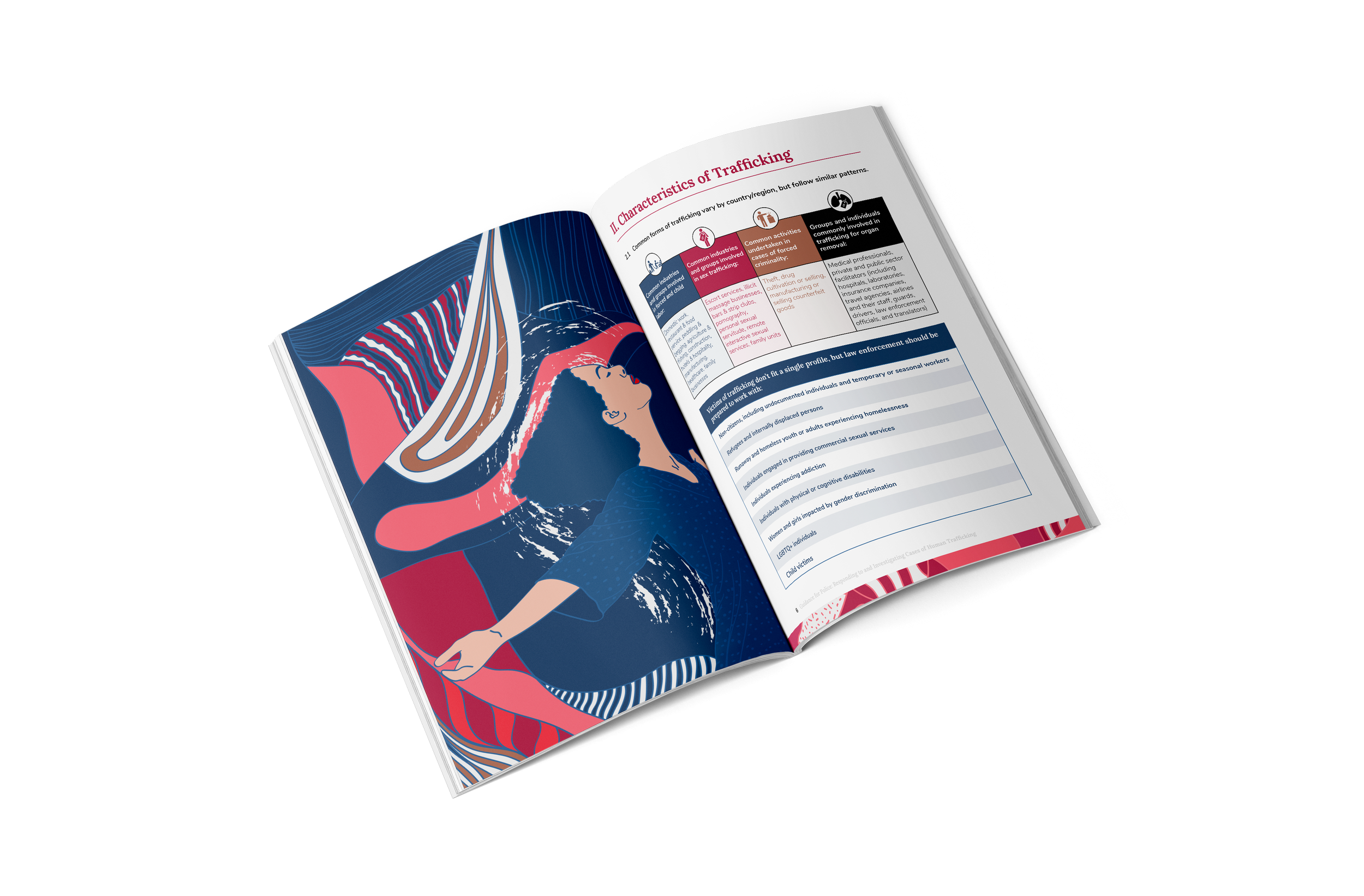 McCain Institute - Guidance document design