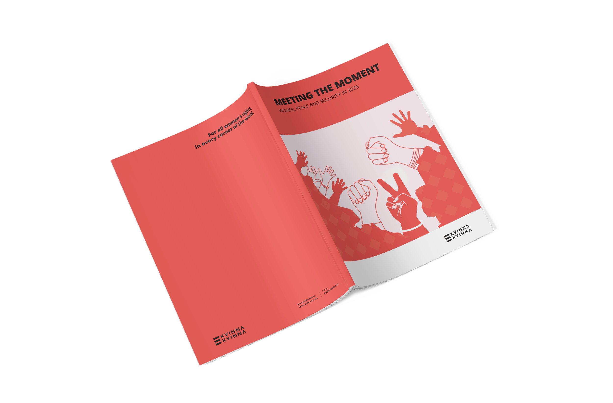 The Kvinna till Kvinna Foundation - Report illustration