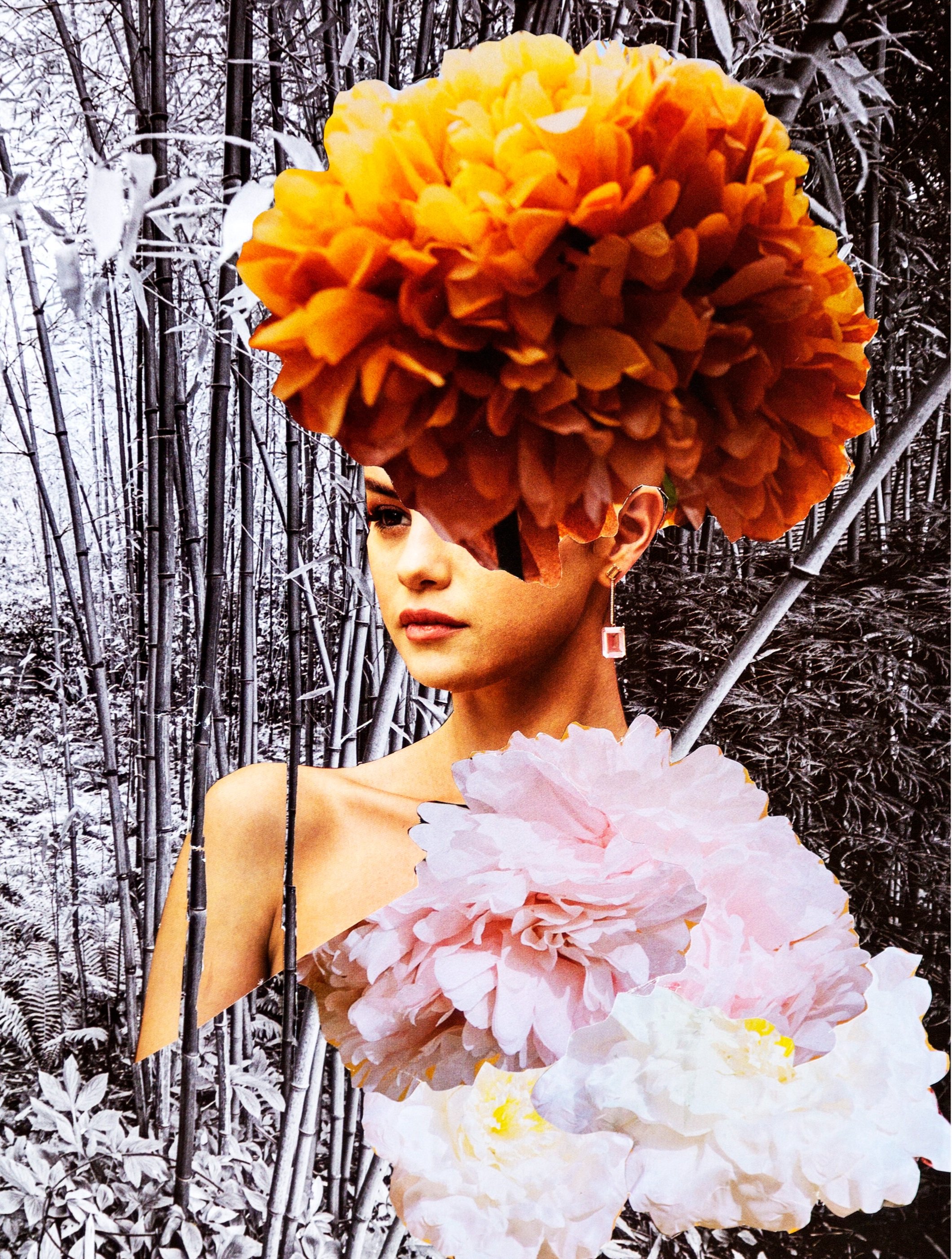 The Forest Blooms