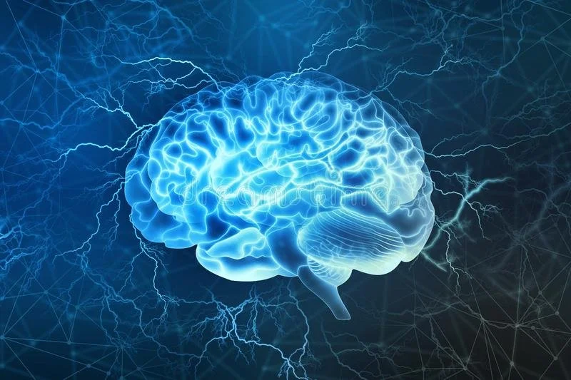Risk Factors of Traumatic Brain Injury and the Aging Brain