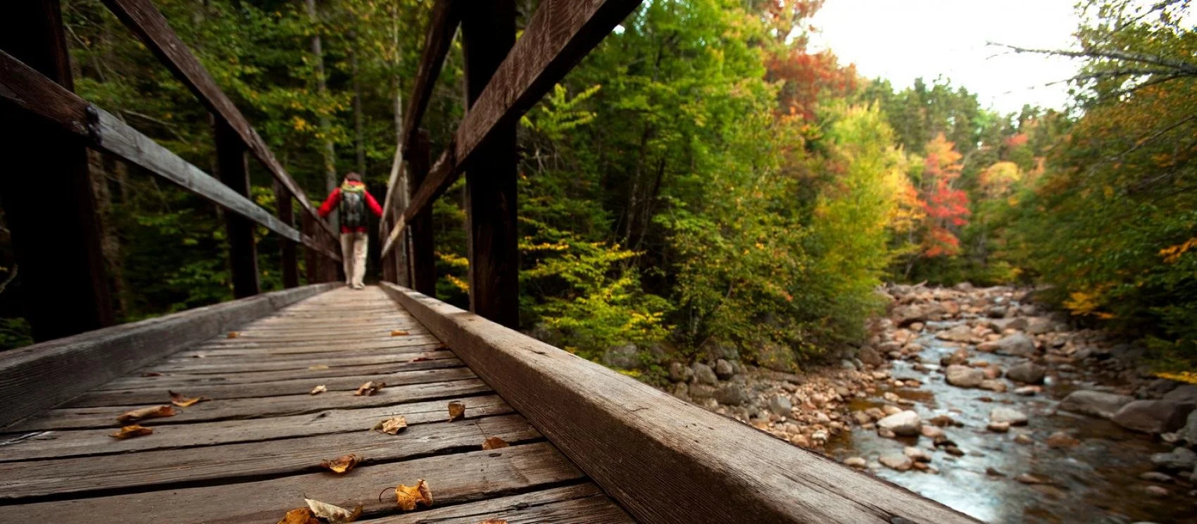 An Urgent Need for Improved Palliative and Hospice Care in New Hampshire