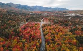 Understanding Palliative Care: What It Is and Why It Matters to New Hampshire