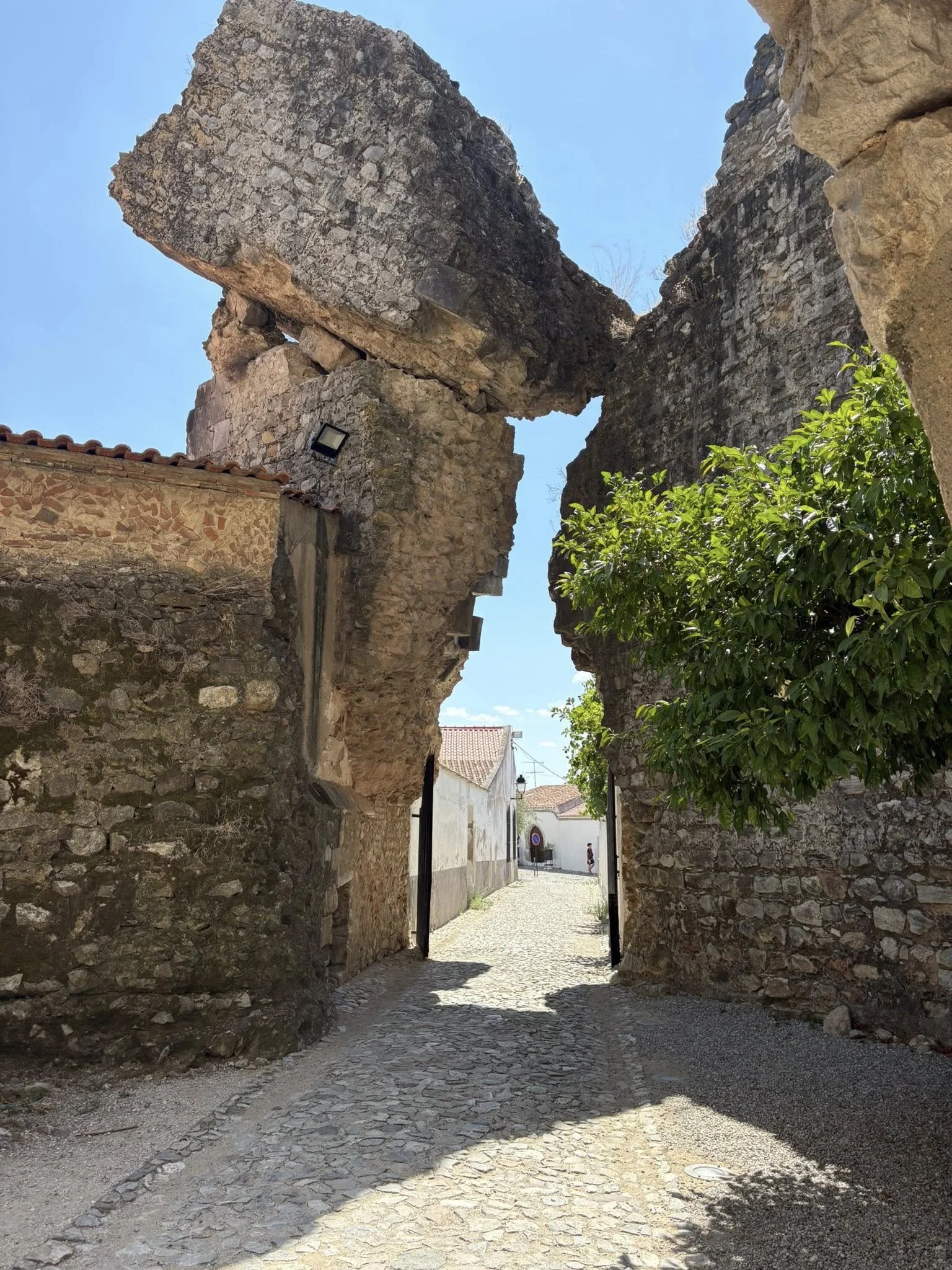 The Hidden Realities of Physician-Assisted Suicide: A Closer Look Behind the Rhetoric