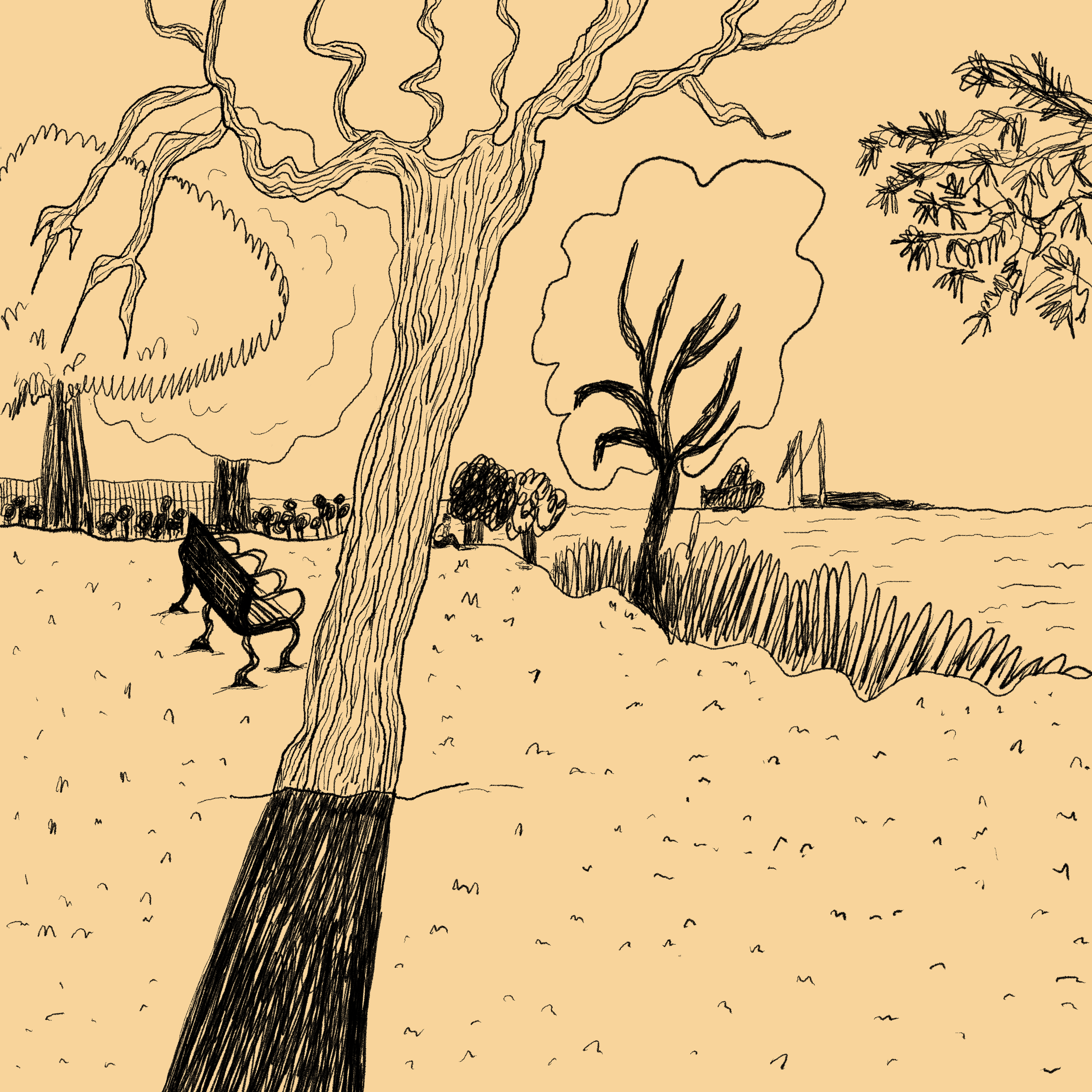 park1.png