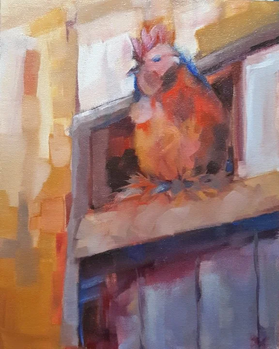 Rooster, Oil