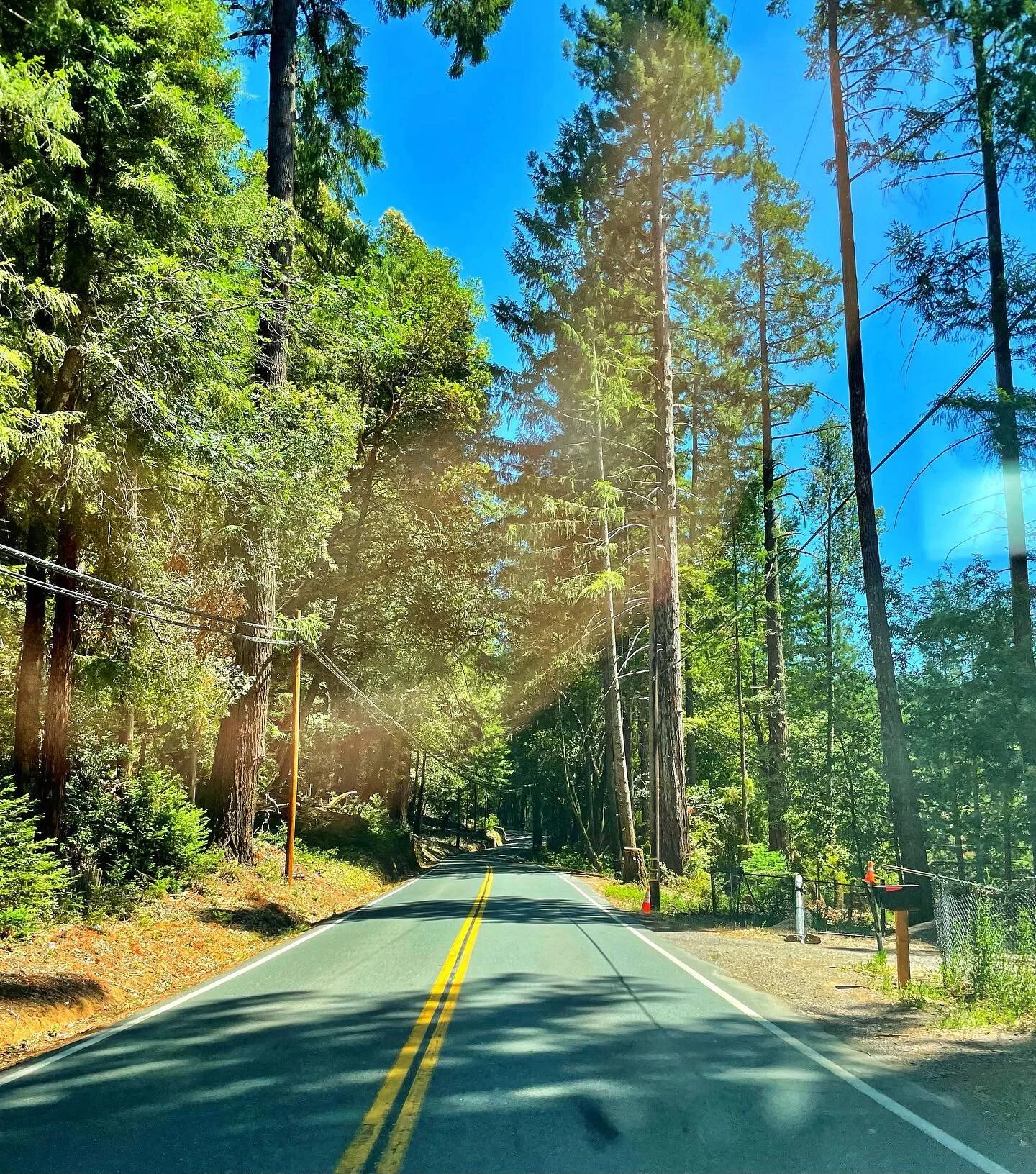 What a beautiful day in Willits. Blessed to call Mendocino County home &hearts;️ #TNT 💥💥 nicollteam.com