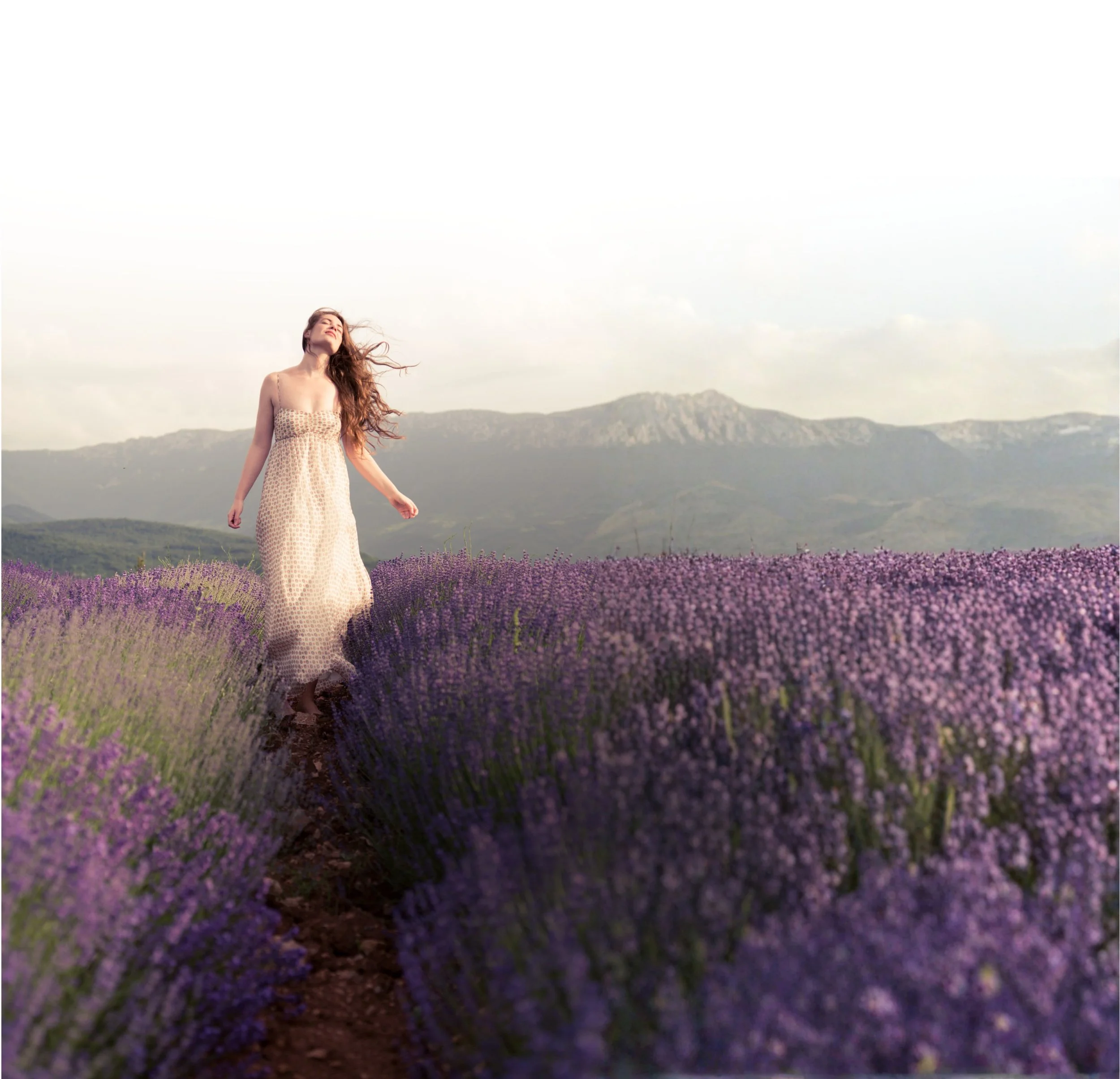 ARMOR OF LIGHT- REVISIONS (2).jpg