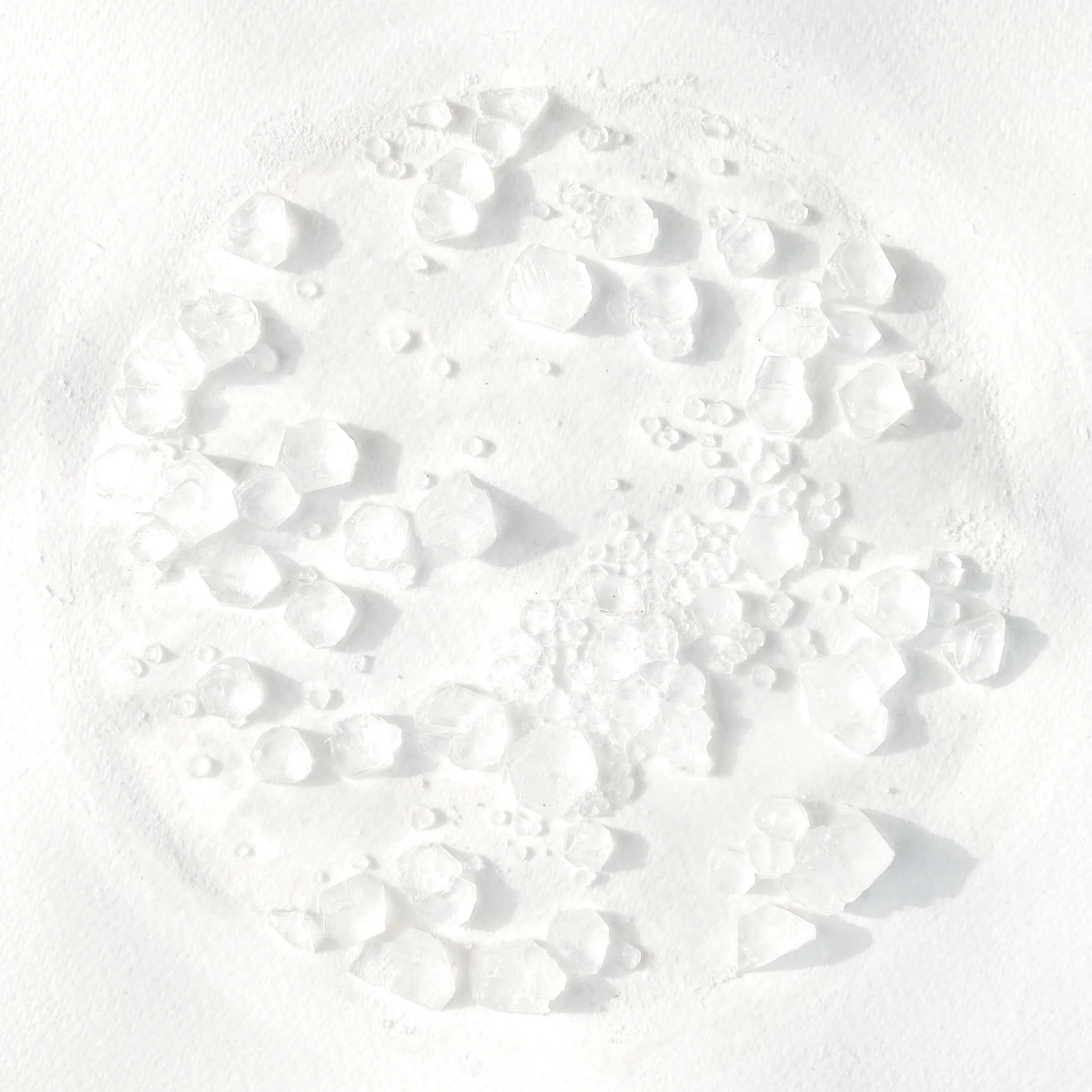 Salt Colonies 2021.jpg