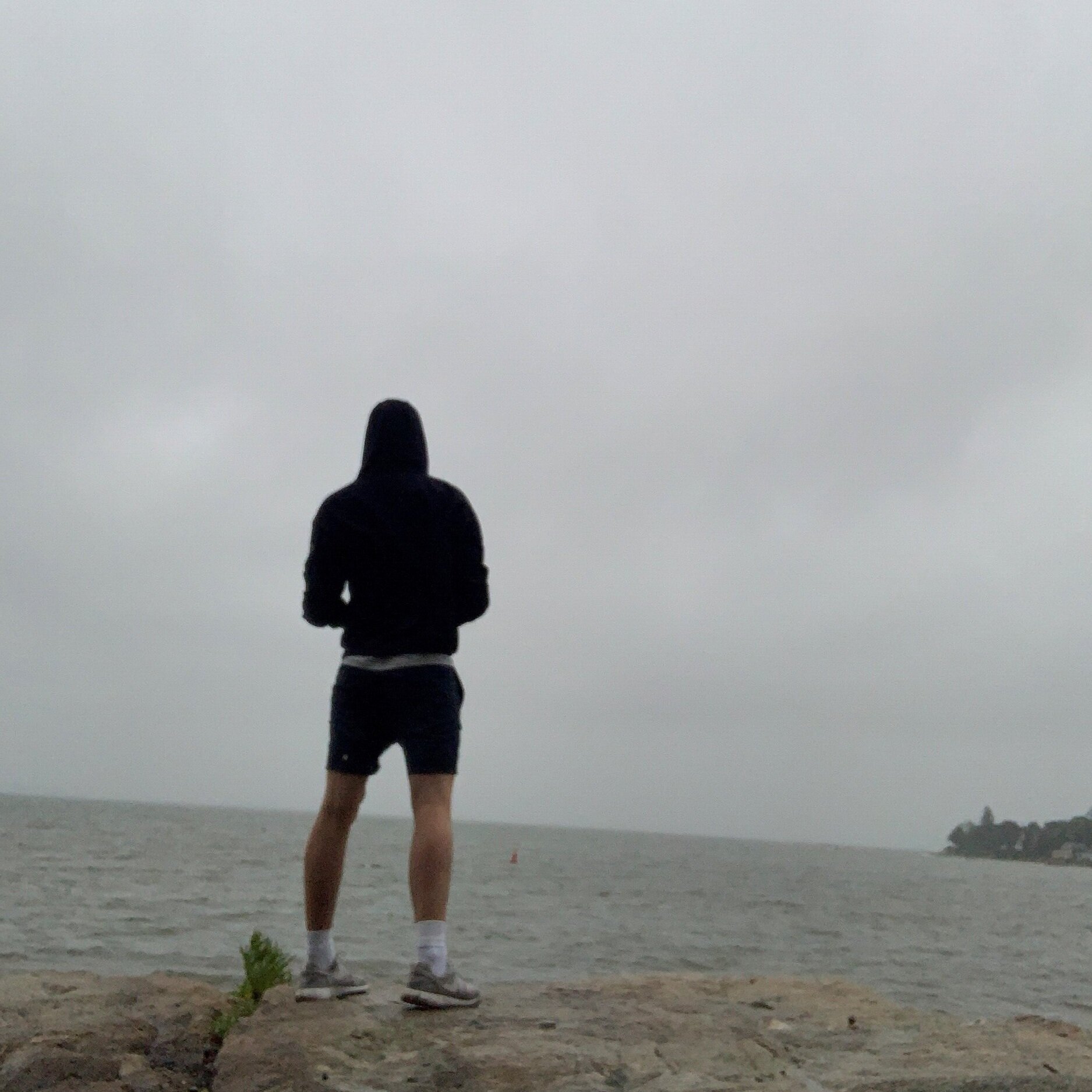 Turning the Daydreamer into the Day-doer
