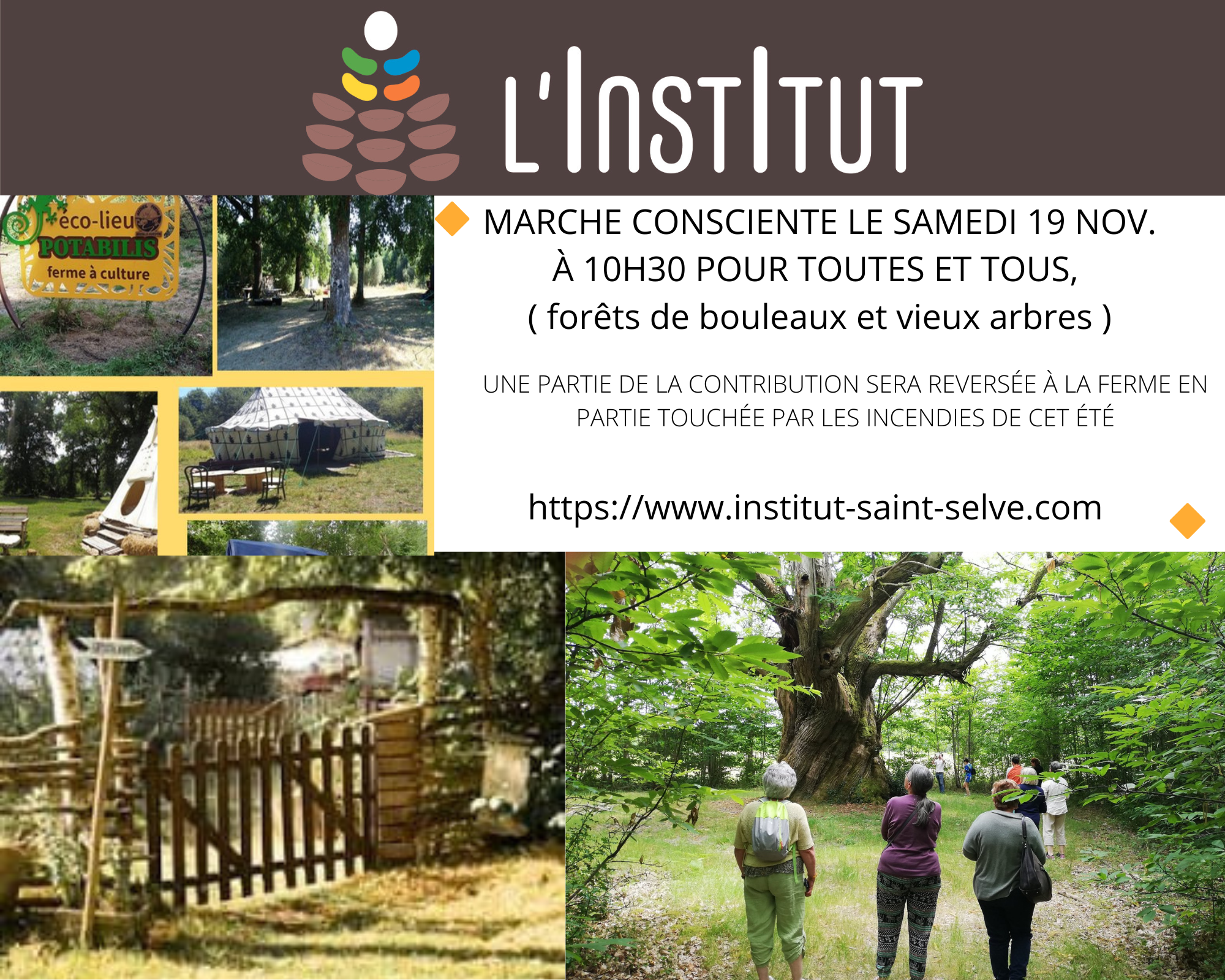 🔸Marche consciente le samedi 19 Nov à 10H30 pour toutes et tous, Une partie de la contribution sera reversée à la ferme en partie touchée par les incendies de cet été🔸