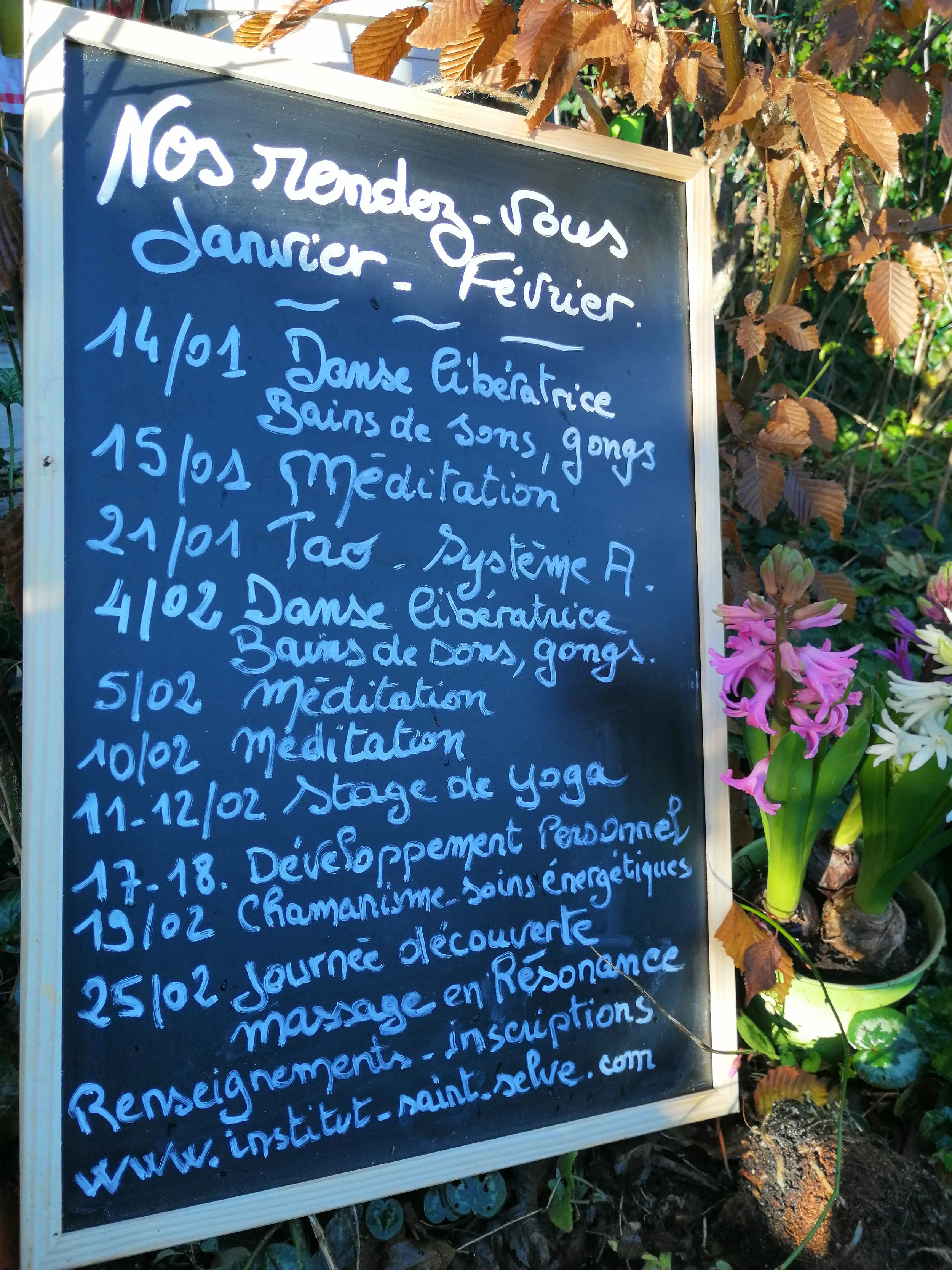 ☘️☆ L’INSTITUT vous souhaite une belle nouvelle année, meilleurs voeux ! ☆☘️