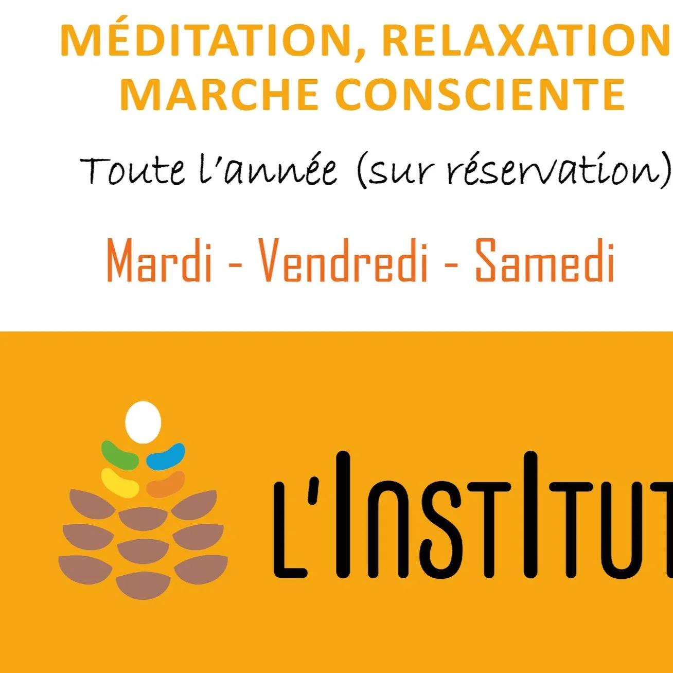 Le printemps arrive, ou presque.... ☘️Marche consciente pour tout.e.S