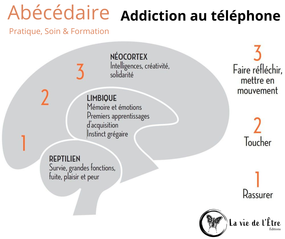 Votre texte de paragraphe.png