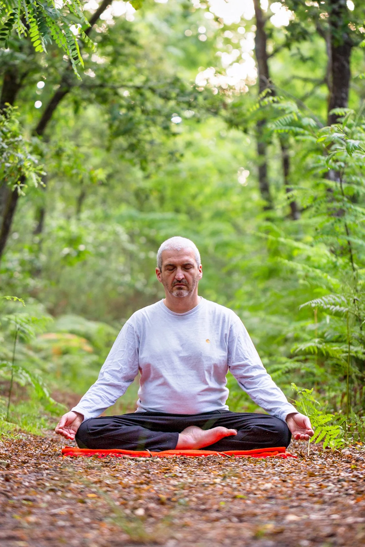 Henri meditation 1.jpg