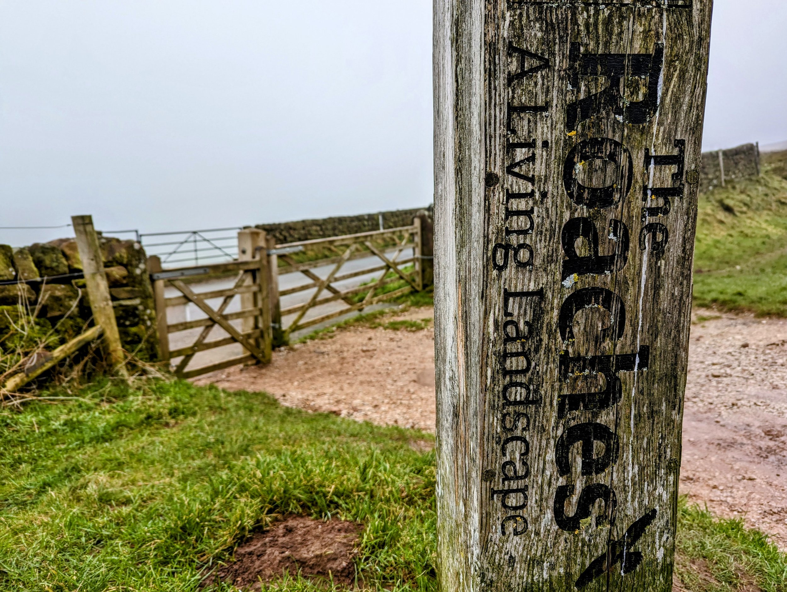 Mountain Training Courses