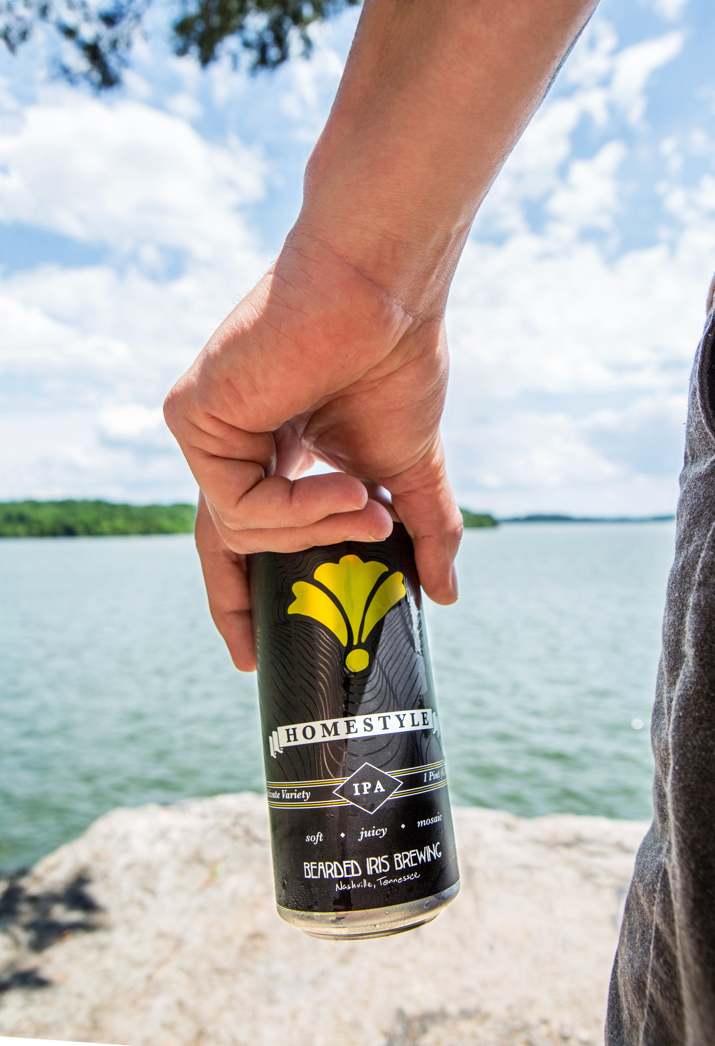 Bearded Iris - Orca 11.jpg