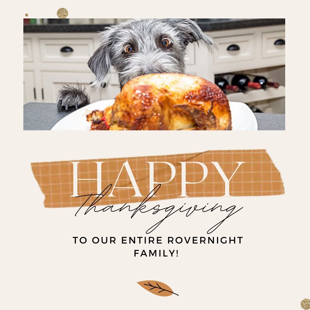 Happy Thanksgiving to all! 🦃. This year we are thankful for our amazing Rovernight clients who make our days so fun!! 🐾