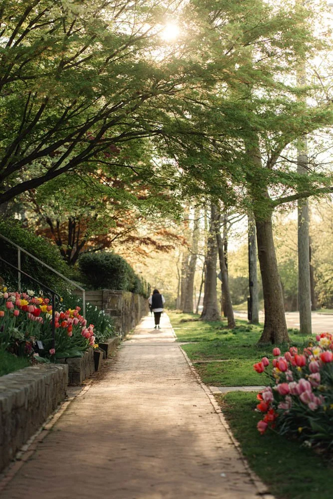 Anxiety therapy office in Bergen County NJ