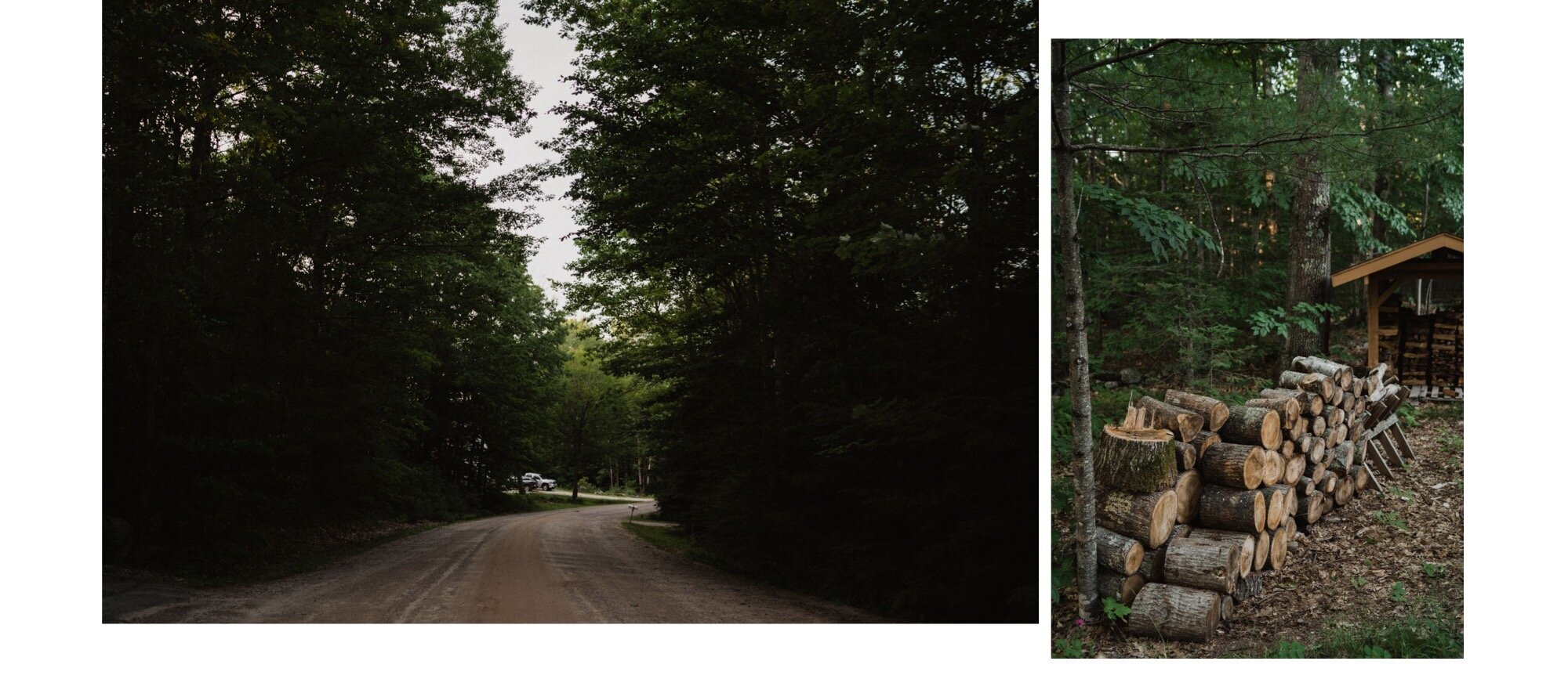 2b212-01_treeline-123_treeline-121.jpg