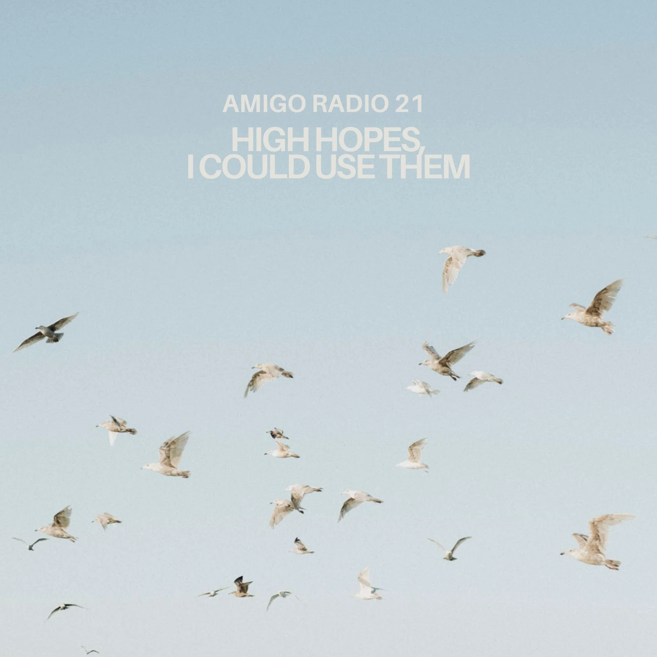Amigo Radio, Vol 21: High Hopes, I Could Use Them