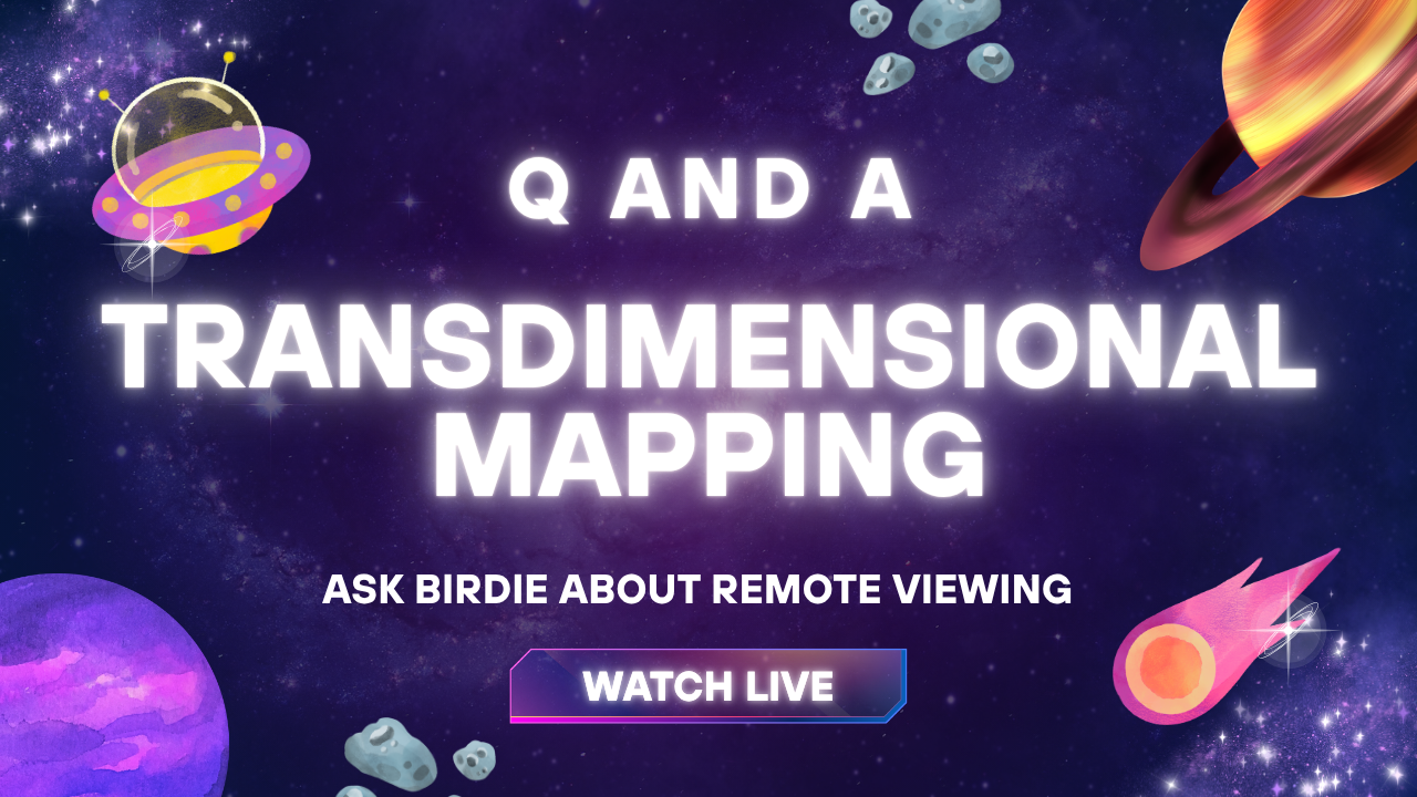 Live Q and A with Birdie