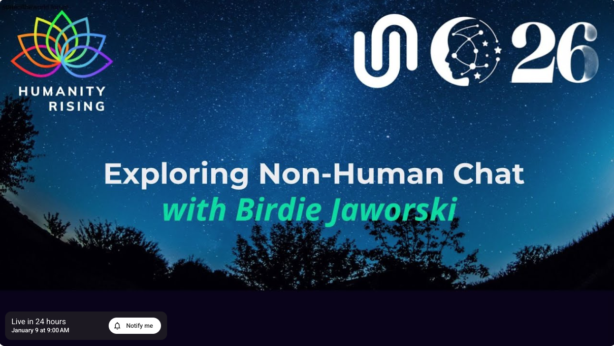 Birdie on Humanity Rising