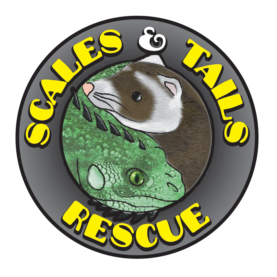 Scales and Tails Rescue