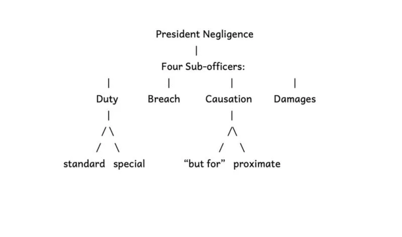 exam essay org chart