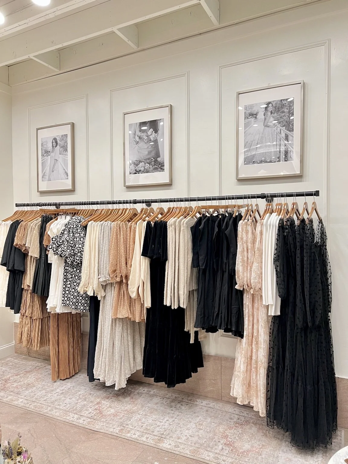 Business Spotlight: Savannah Taylor