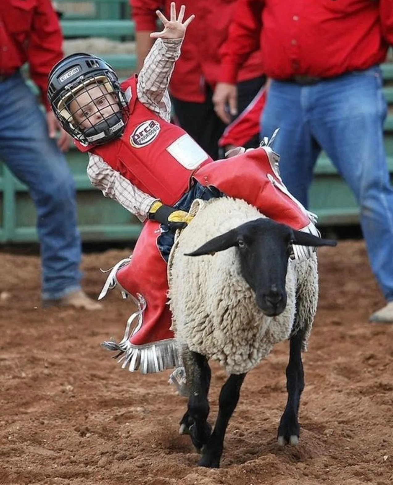 Mutton Busting / Calf Riding — San Miguel Basin Rodeo